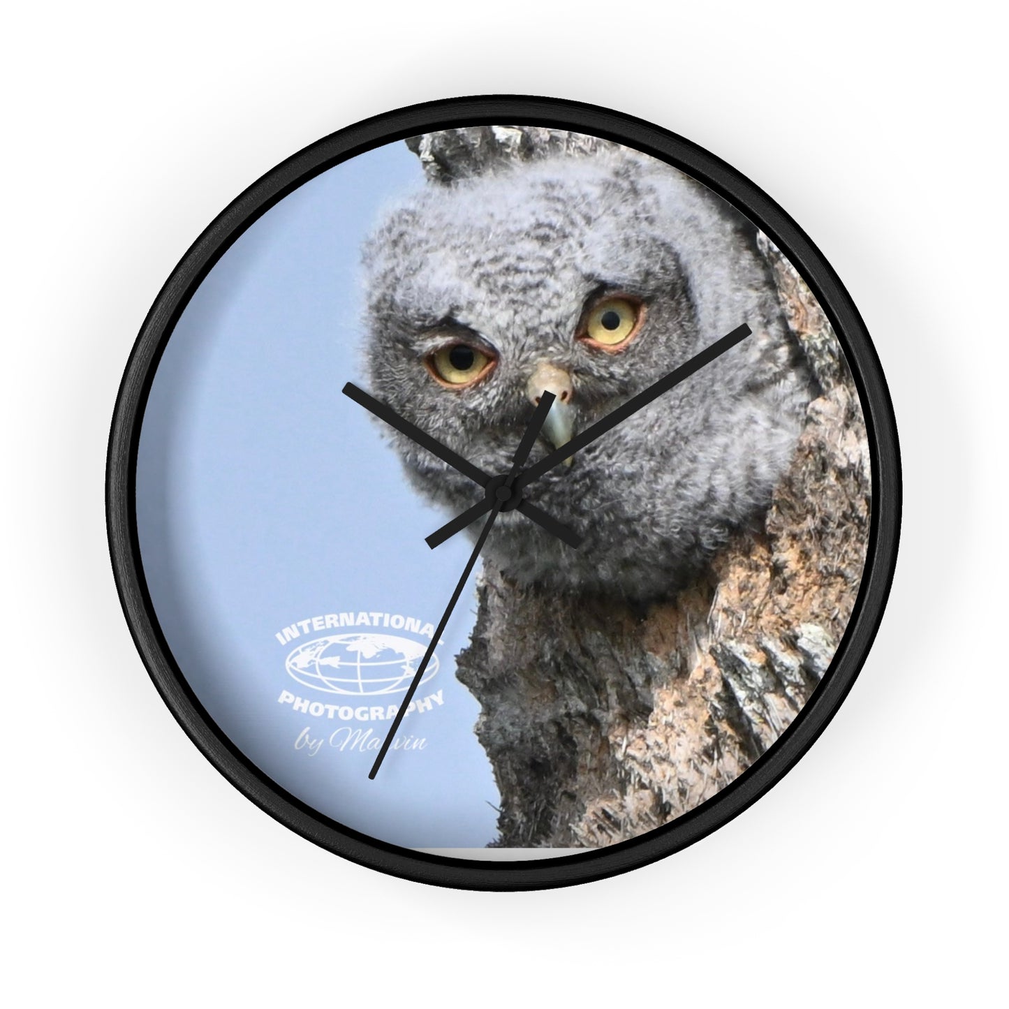 Whimsical Owl Wall Clock - Nature Lover Decor, Unique Home Gift, Bird Watcher Accessory, Kids Room Clock, Owl Enthusiast Present