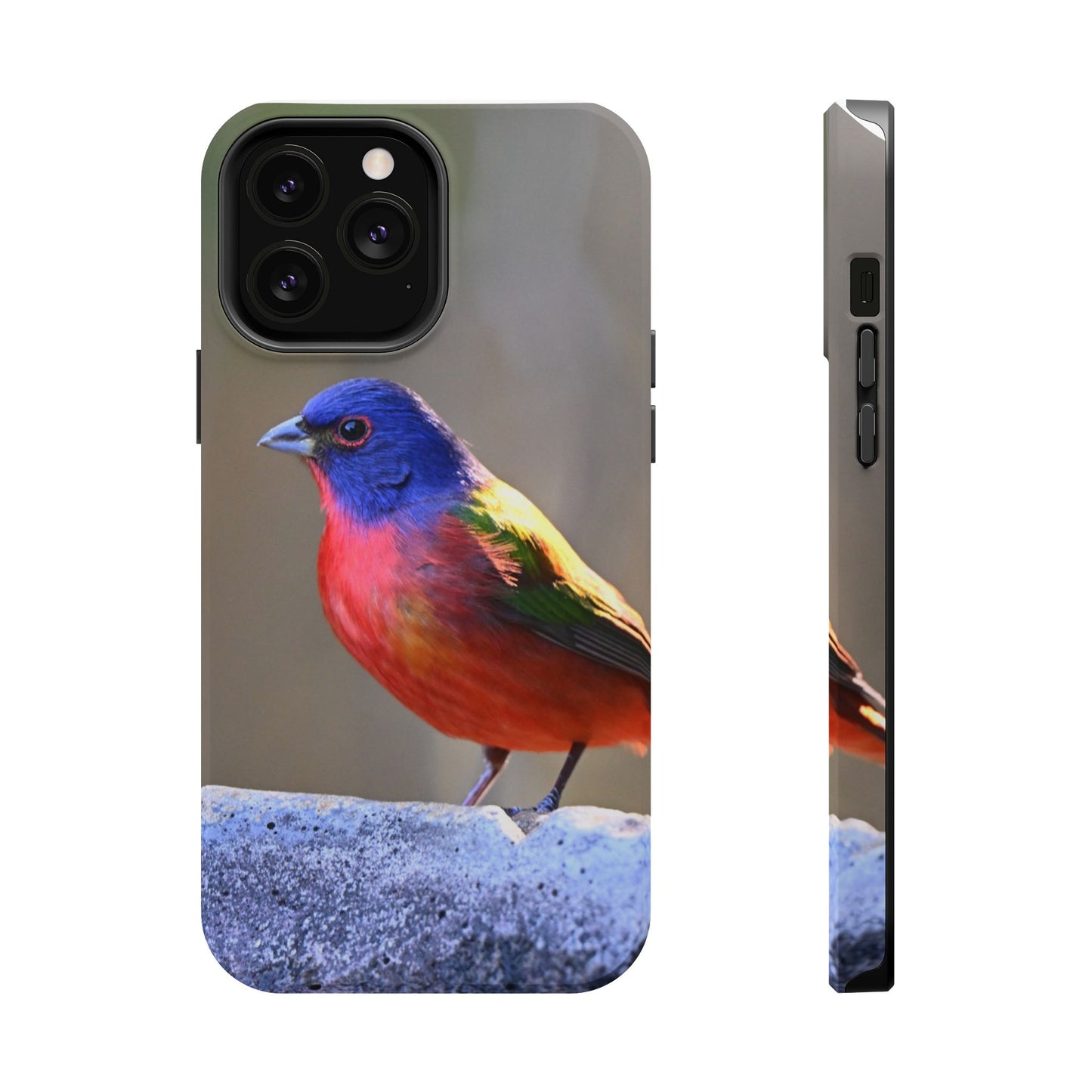 Colorful Bird Phone Case, Magnetic Tough Cases, Nature Lover Gift, Wildlife Phone Cover, Eco-Friendly Tech Accessories