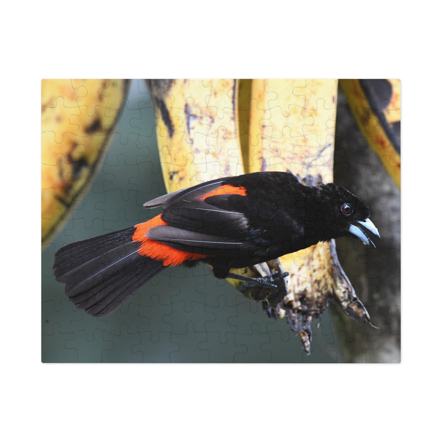 Bird-Themed Jigsaw Puzzle with Tin - Perfect Gift for Nature Lovers, Family Game Night, Eco-Friendly Home Decor, Educational Activity.