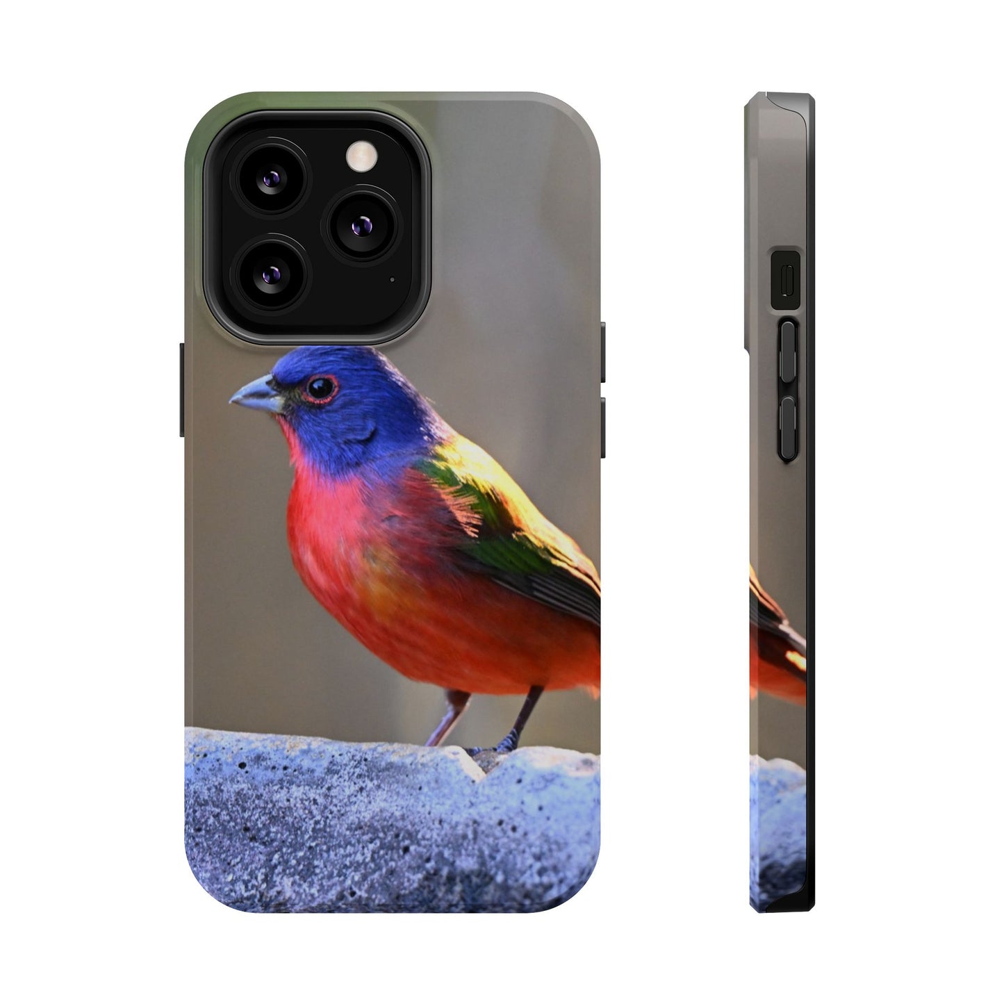 Colorful Bird Phone Case, Magnetic Tough Cases, Nature Lover Gift, Wildlife Phone Cover, Eco-Friendly Tech Accessories