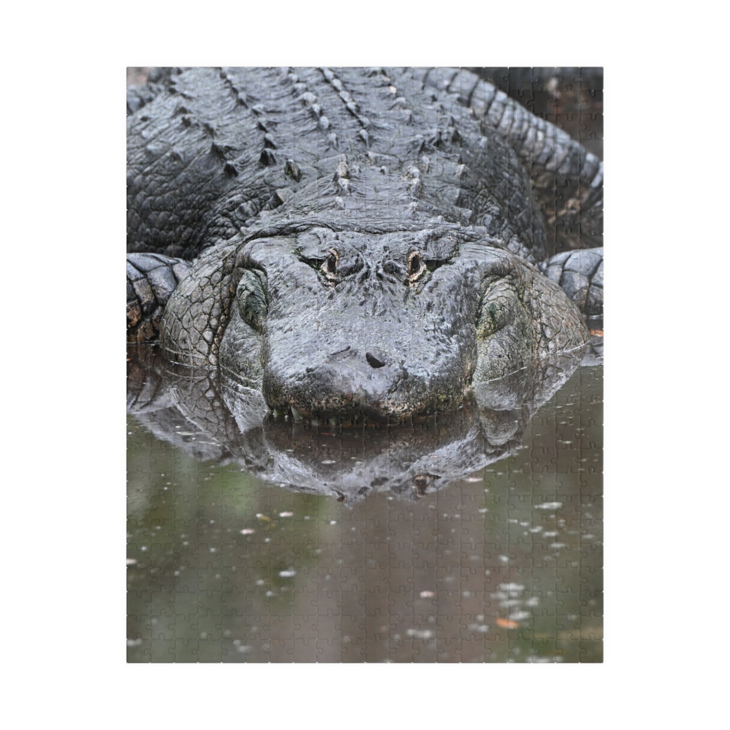 Alligator Puzzle - 110, 252, 520, 1014-Piece Jigsaw, Animal Lovers Gift, Family Game Night, Nature Decor, Unique Home Activity