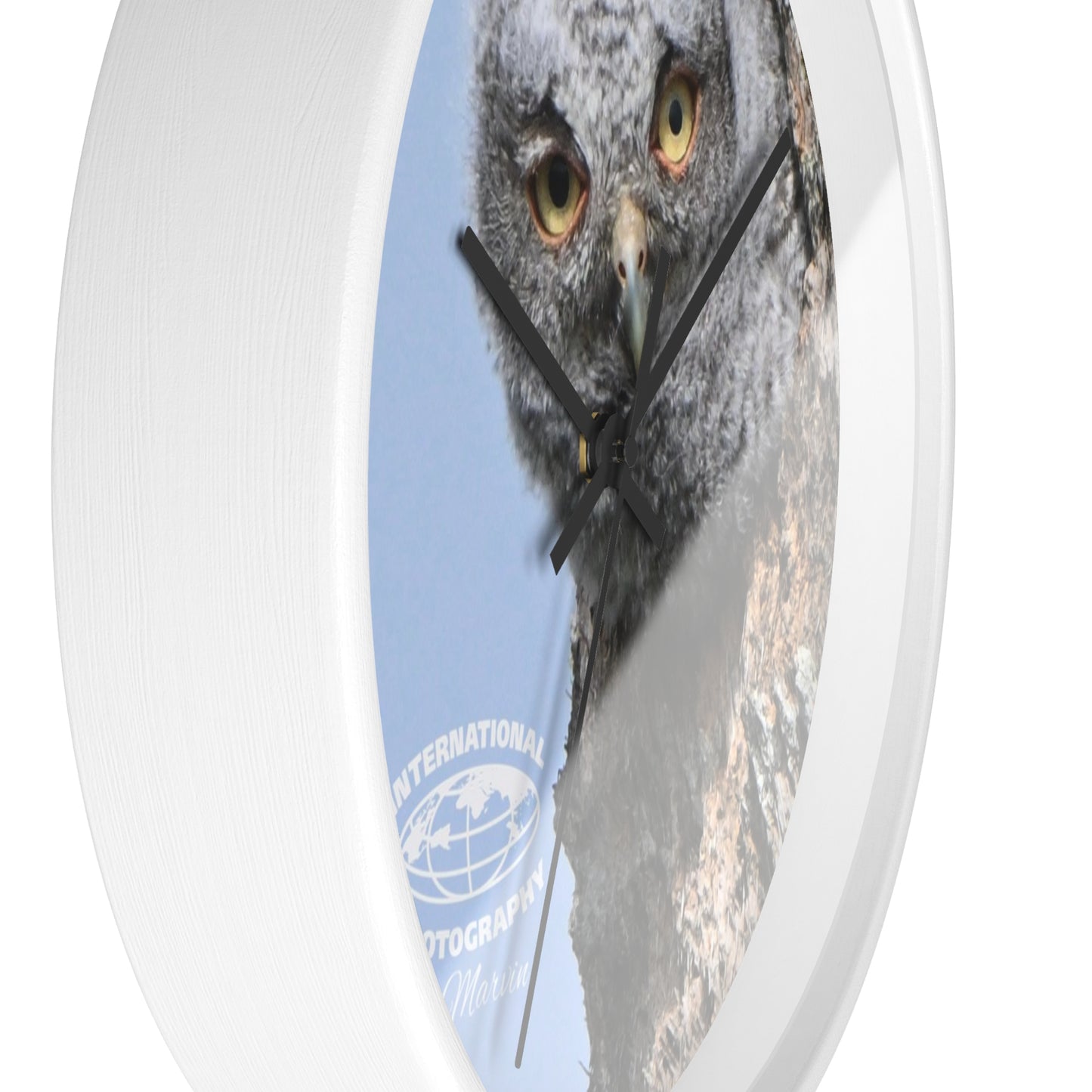 Whimsical Owl Wall Clock - Nature Lover Decor, Unique Home Gift, Bird Watcher Accessory, Kids Room Clock, Owl Enthusiast Present