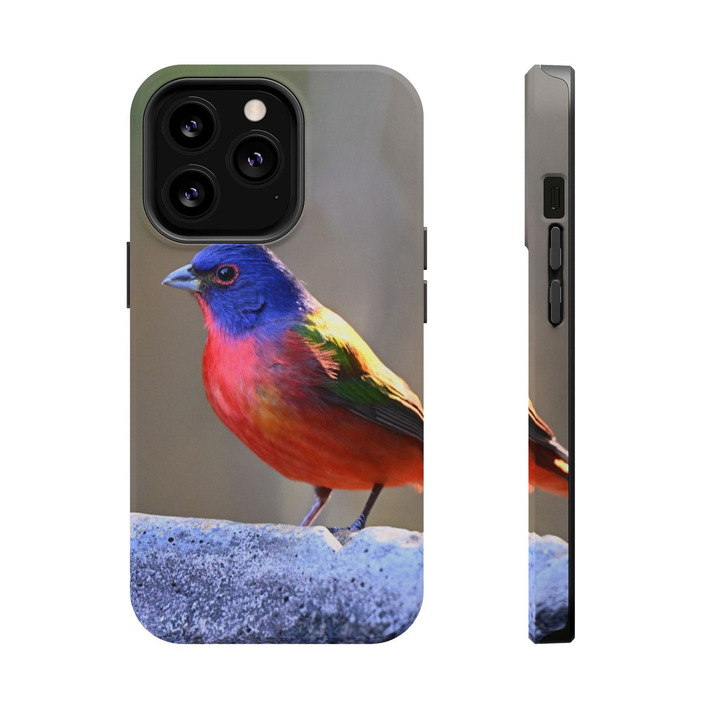 Colorful Bird Phone Case, Magnetic Tough Cases, Nature Lover Gift, Wildlife Phone Cover, Eco-Friendly Tech Accessories