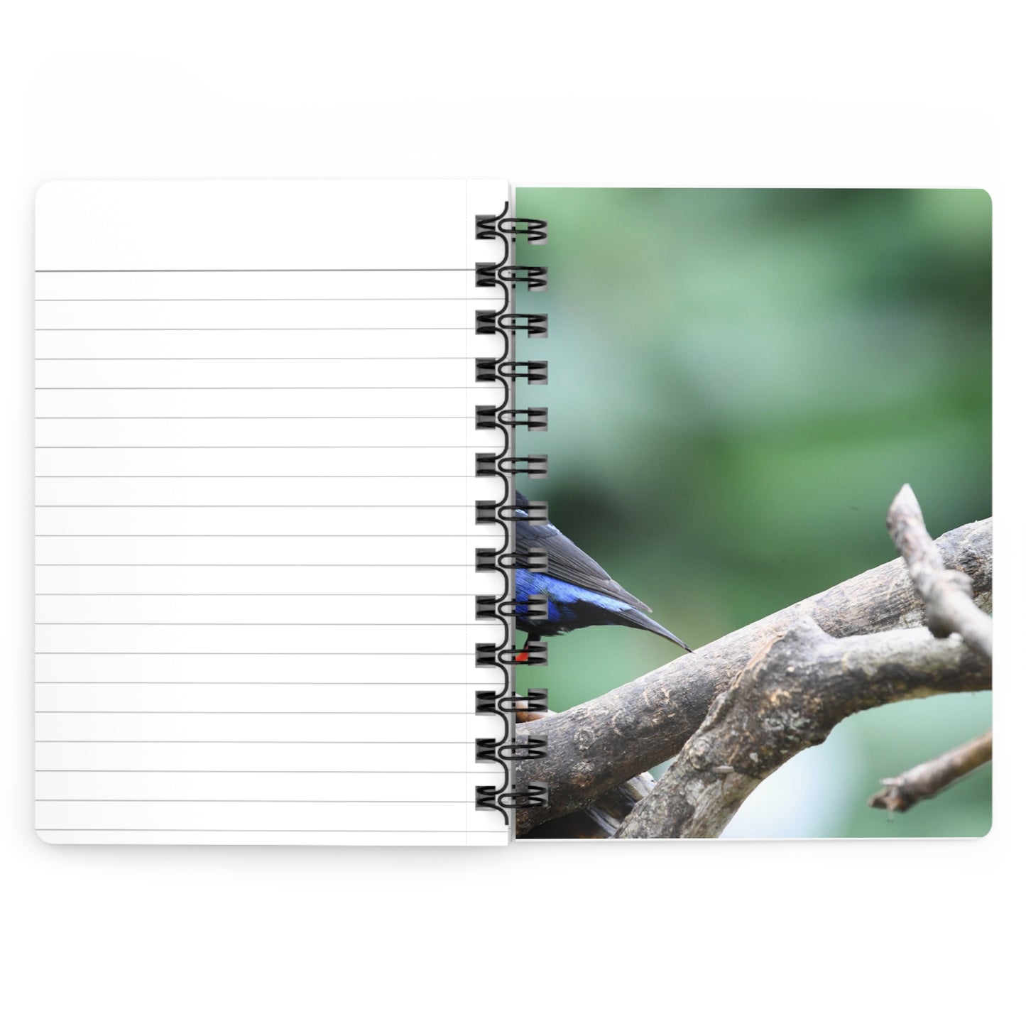 Nature-Inspired Spiral Bound Journal with Bird Design, Writing Notebook, Gift for Writers, Eco-Friendly Journal, Personalized Stationery
