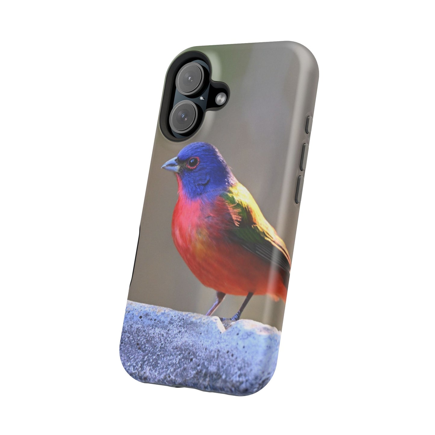 Colorful Bird Phone Case, Magnetic Tough Cases, Nature Lover Gift, Wildlife Phone Cover, Eco-Friendly Tech Accessories