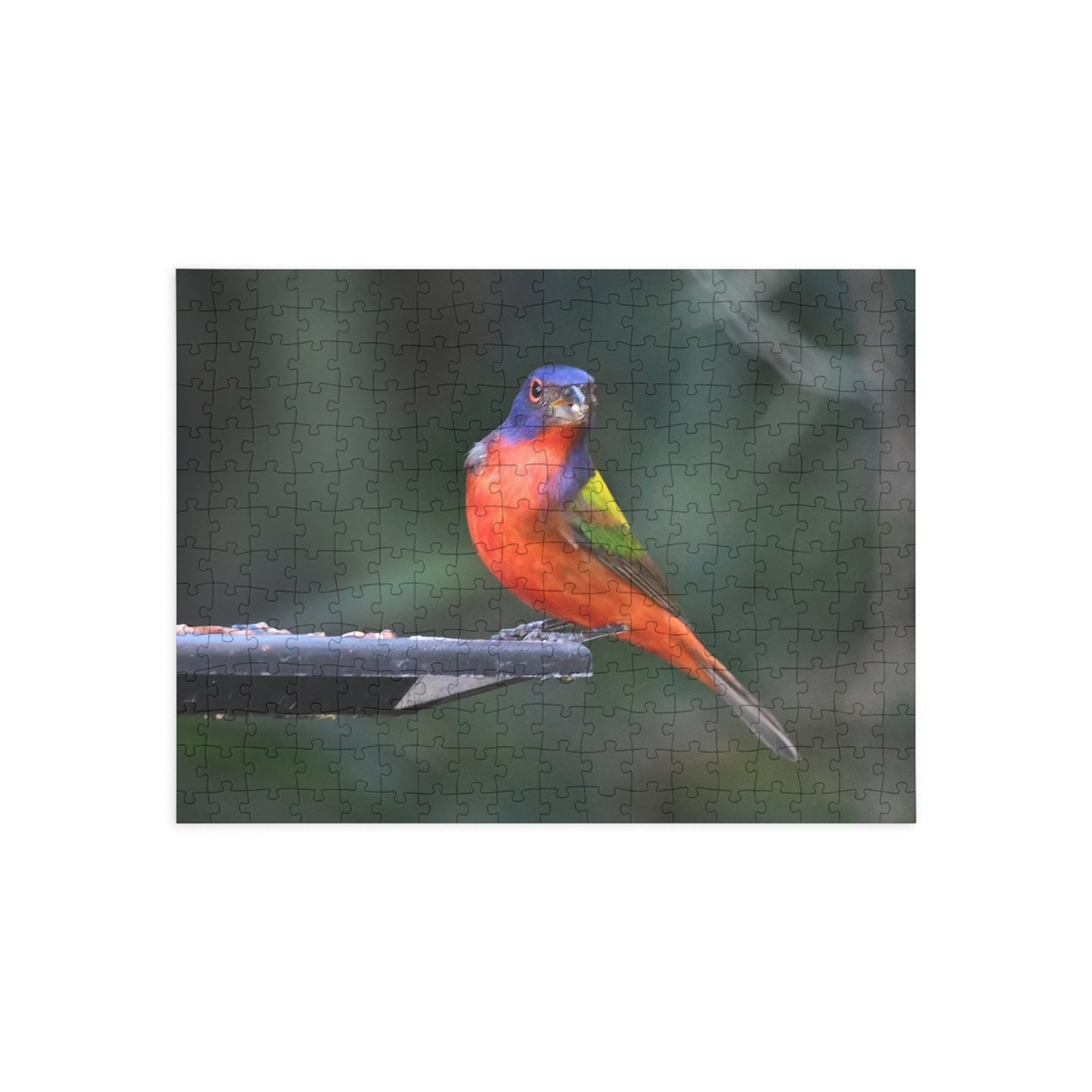 Vibrant Bird Puzzle - 96, 252, 500, or 1000 Pieces | Nature Jigsaw for Bird Lovers, Family Game Night, Educational Fun, Gift Idea