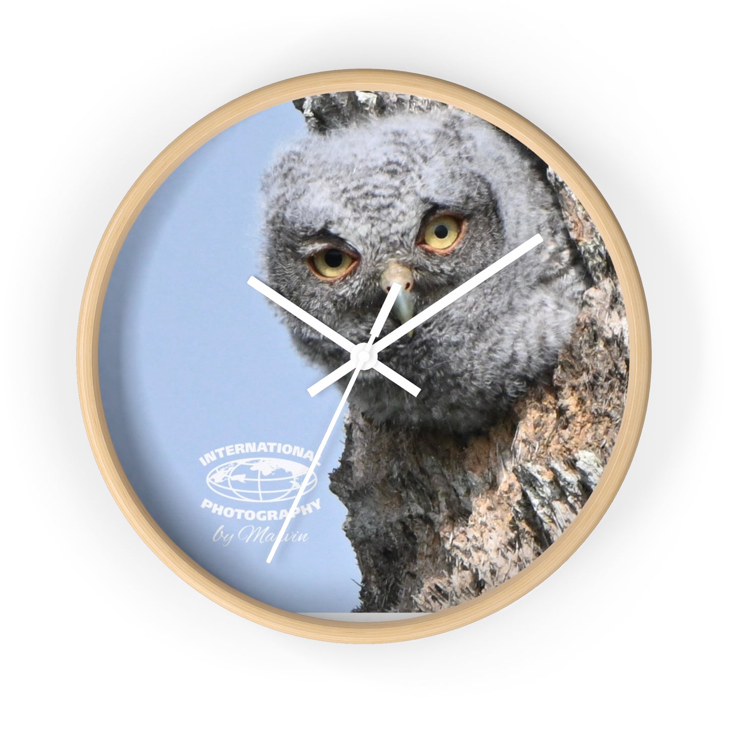 Whimsical Owl Wall Clock - Nature Lover Decor, Unique Home Gift, Bird Watcher Accessory, Kids Room Clock, Owl Enthusiast Present