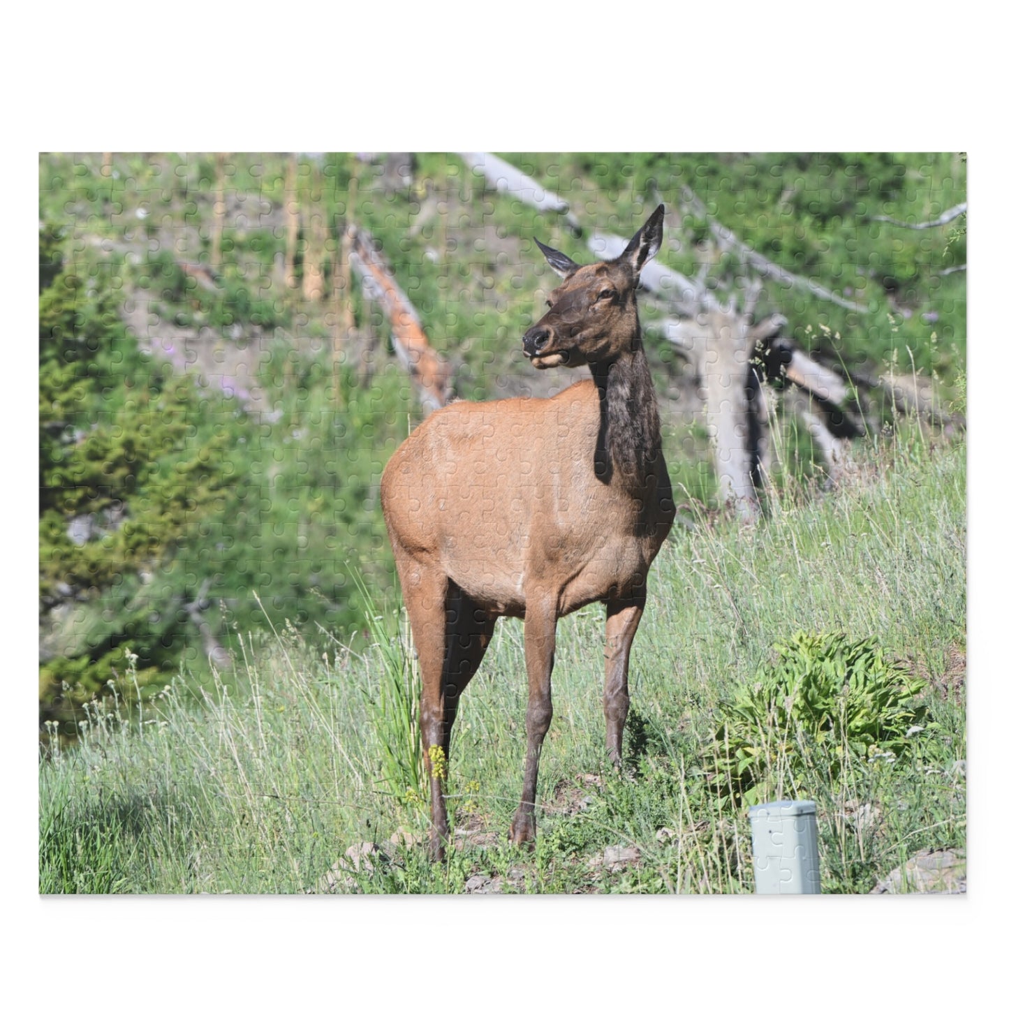 Elk Puzzle Game, Nature-Based Fun, Wildlife Lover Gift, Family Game Night, Educational Activity, Relaxing Hobby
