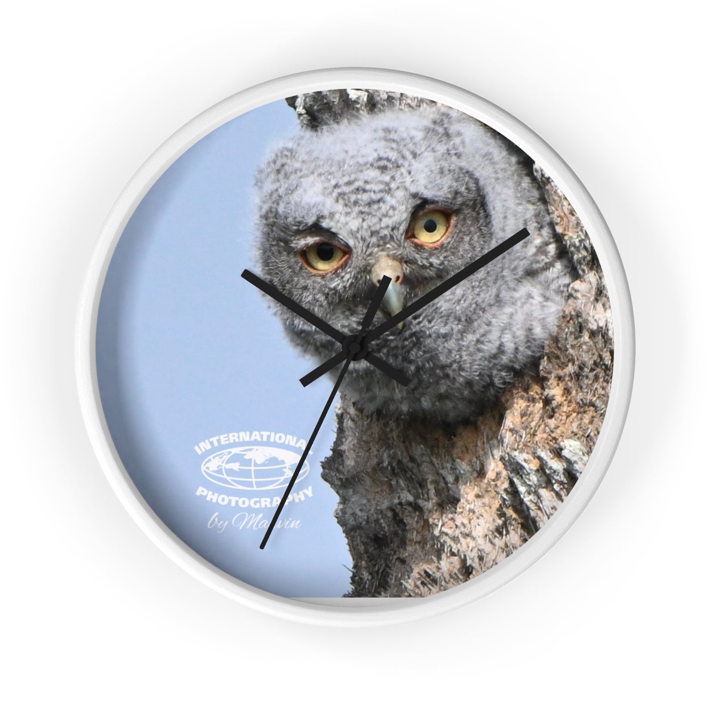 Whimsical Owl Wall Clock - Nature Lover Decor, Unique Home Gift, Bird Watcher Accessory, Kids Room Clock, Owl Enthusiast Present