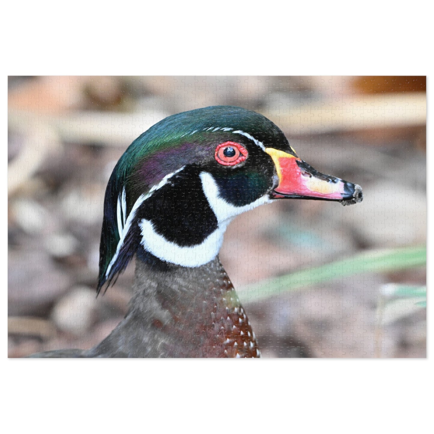 Wood Duck Puzzle, Relaxing Jigsaw Game, Unique Gift for Nature Lovers, Fun Family Activity, Bird Enthusiast Puzzle