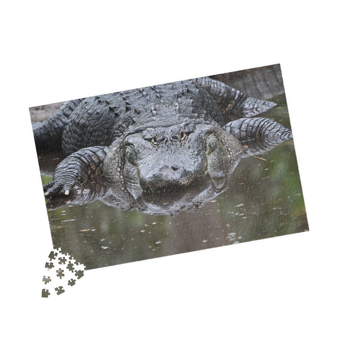 Alligator Puzzle - 110, 252, 520, 1014-Piece Jigsaw, Animal Lovers Gift, Family Game Night, Nature Decor, Unique Home Activity
