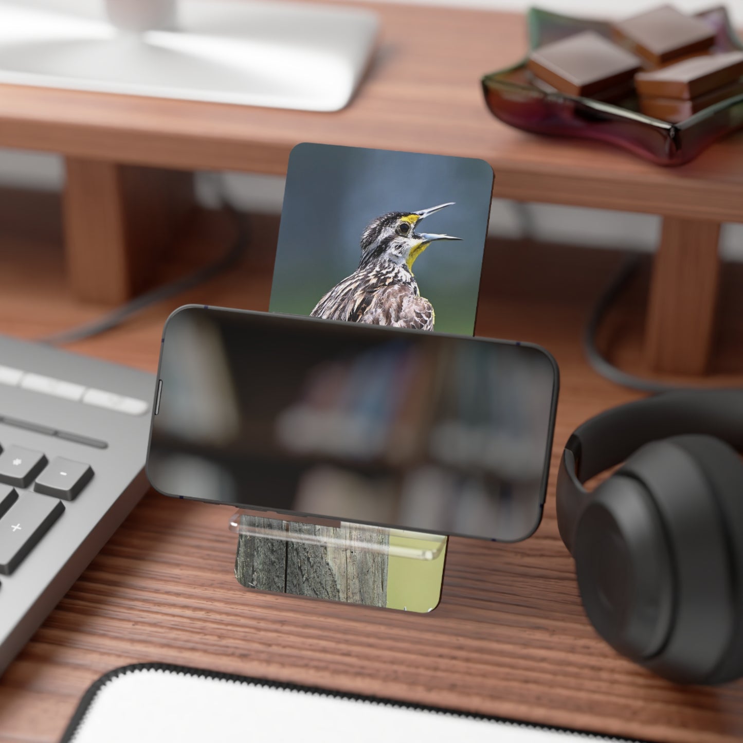Phone Stand – Meadowlark Smartphone Display Stand (Bird Photography Design)