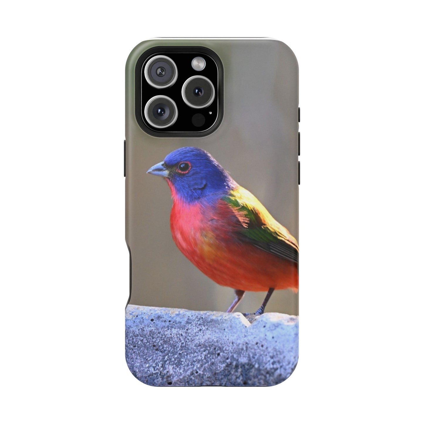 Colorful Bird Phone Case, Magnetic Tough Cases, Nature Lover Gift, Wildlife Phone Cover, Eco-Friendly Tech Accessories