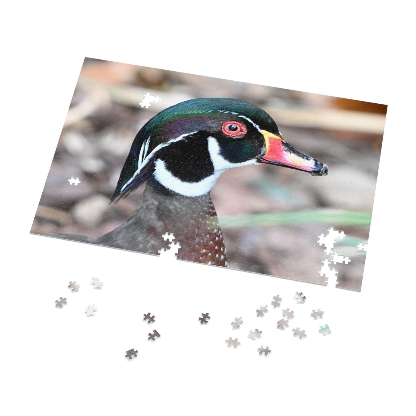 Wood Duck Puzzle, Relaxing Jigsaw Game, Unique Gift for Nature Lovers, Fun Family Activity, Bird Enthusiast Puzzle