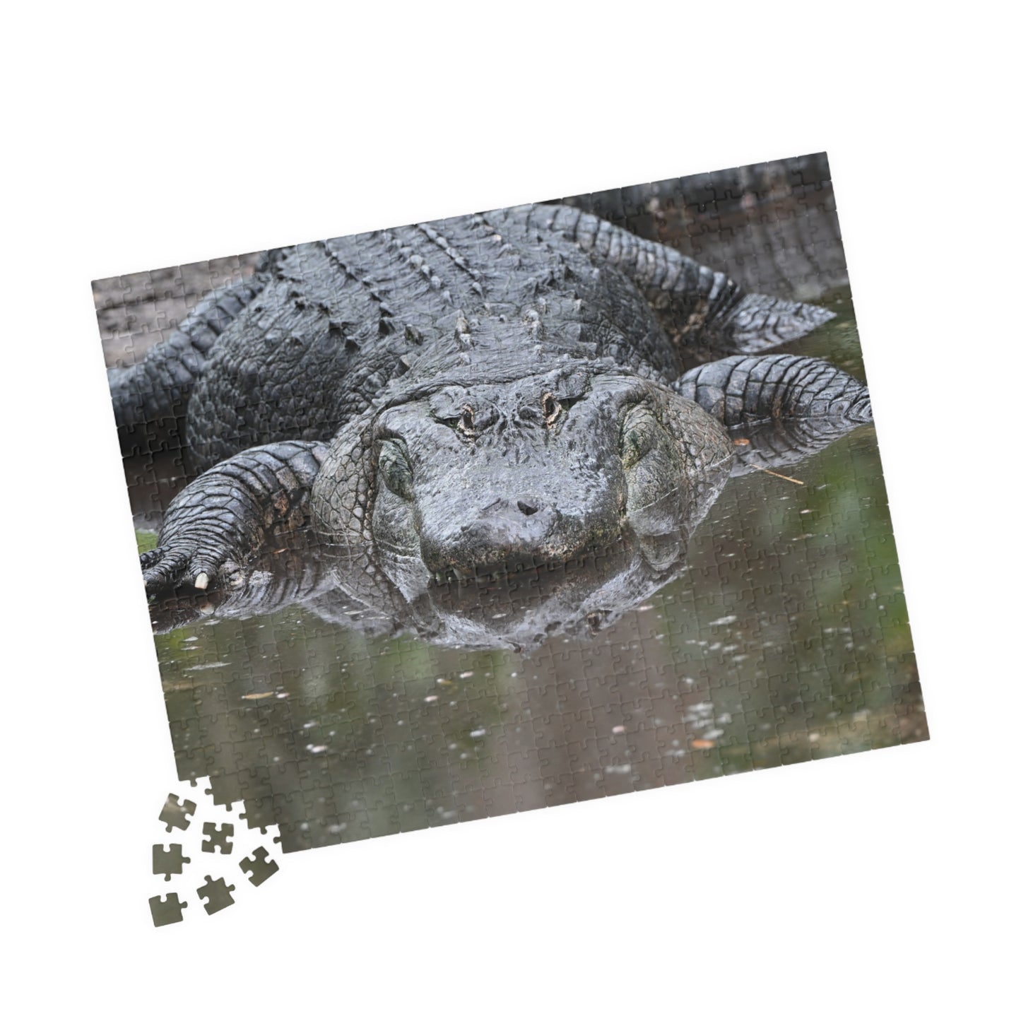 Alligator Puzzle - 110, 252, 520, 1014-Piece Jigsaw, Animal Lovers Gift, Family Game Night, Nature Decor, Unique Home Activity