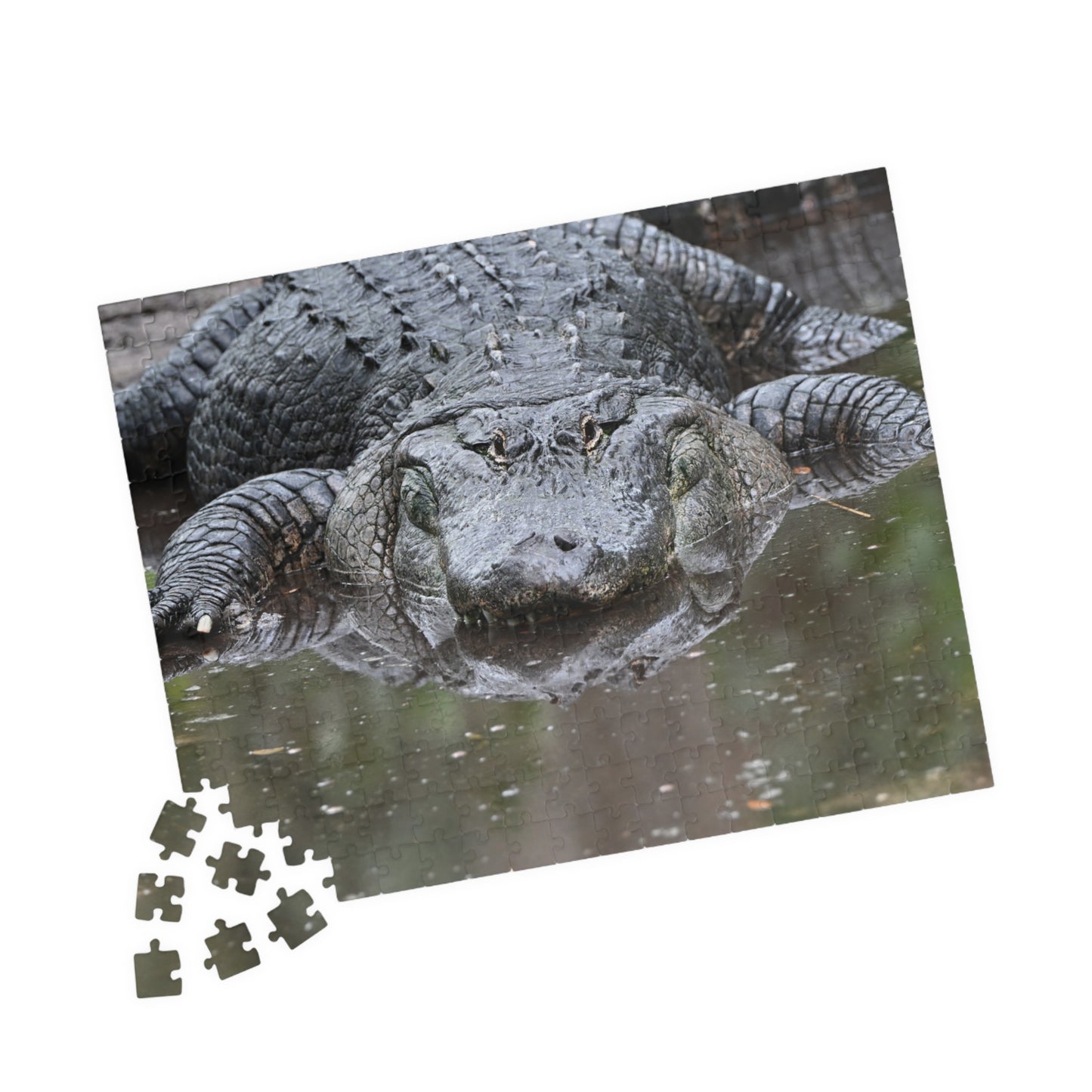 Alligator Puzzle - 110, 252, 520, 1014-Piece Jigsaw, Animal Lovers Gift, Family Game Night, Nature Decor, Unique Home Activity