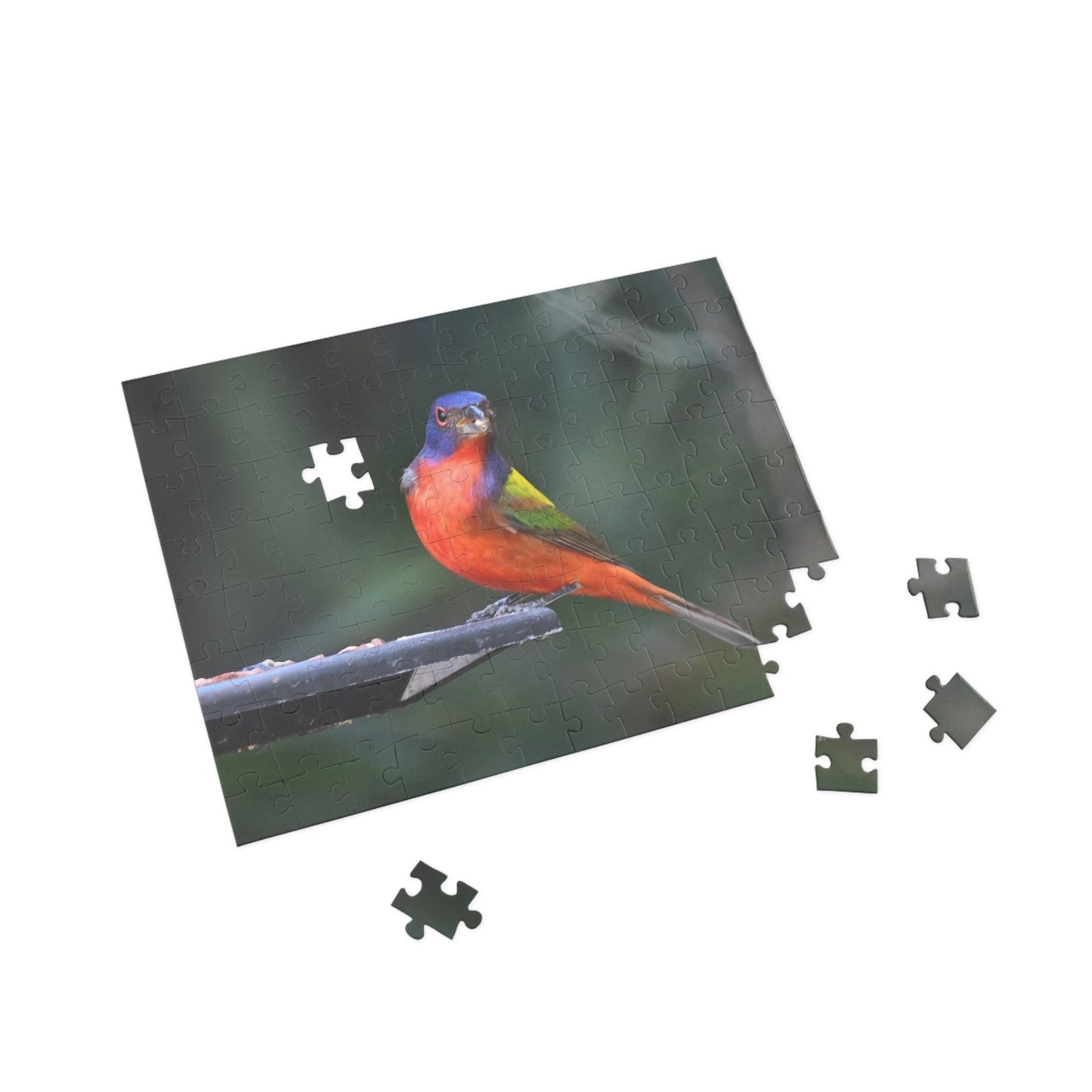Vibrant Bird Puzzle - 96, 252, 500, or 1000 Pieces | Nature Jigsaw for Bird Lovers, Family Game Night, Educational Fun, Gift Idea