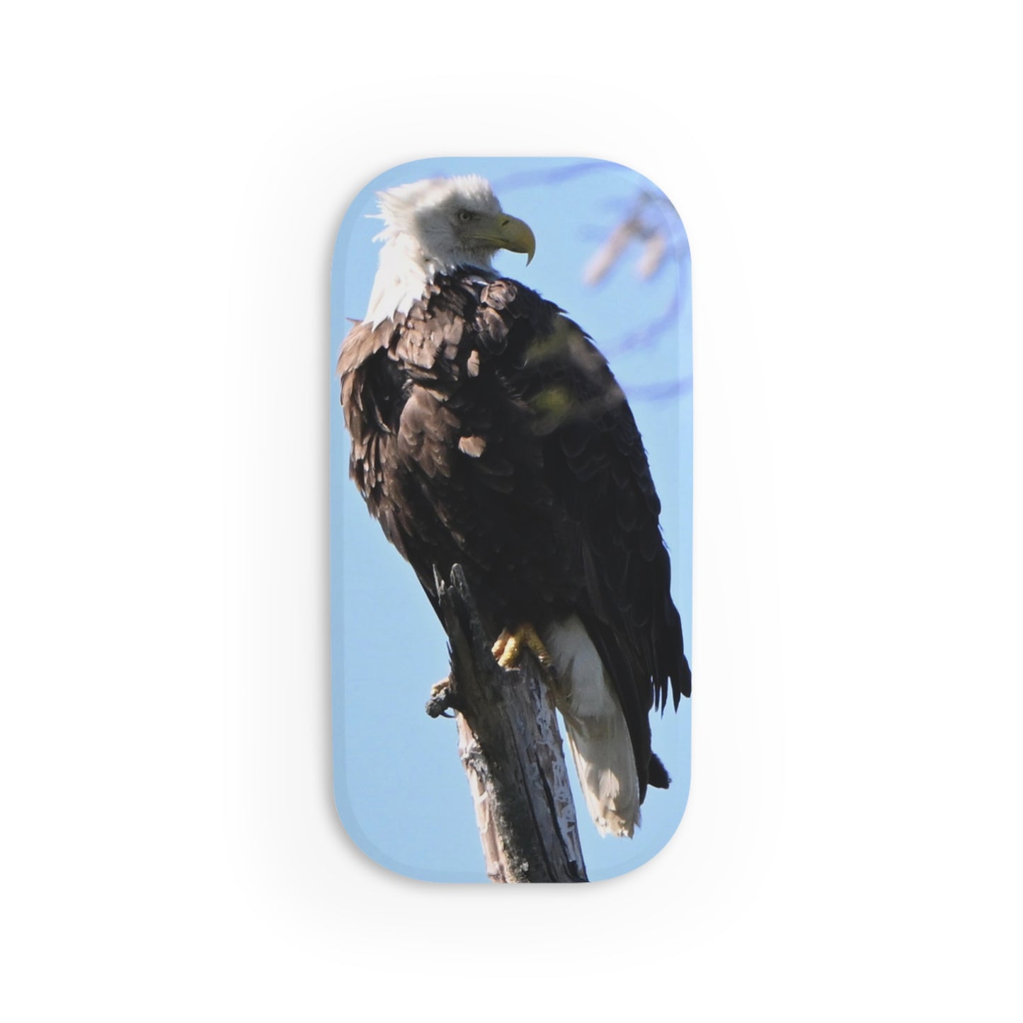 Eagle Phone Grip Stand, Wildlife Cell Phone Holder, Bird Lover Gift, Nature Decor, Unique Tech Accessory
