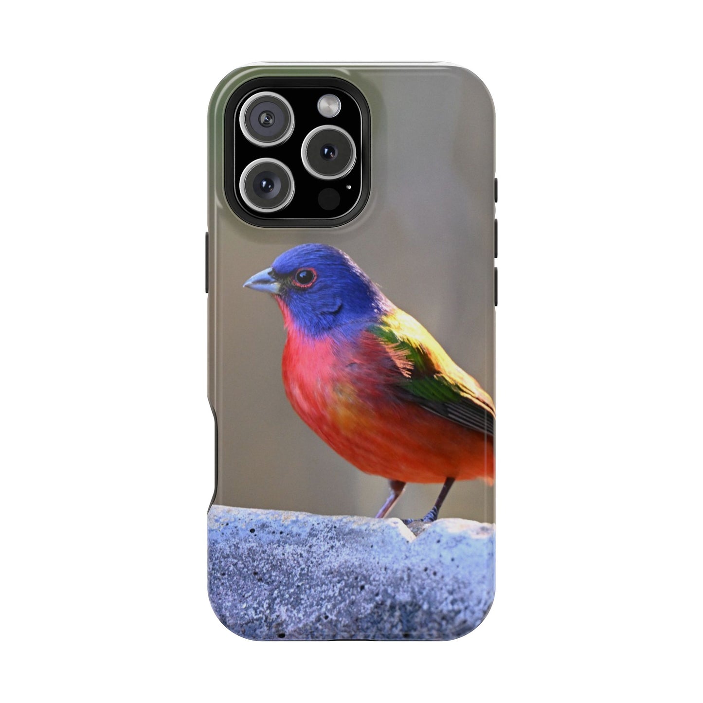 Colorful Bird Phone Case, Magnetic Tough Cases, Nature Lover Gift, Wildlife Phone Cover, Eco-Friendly Tech Accessories