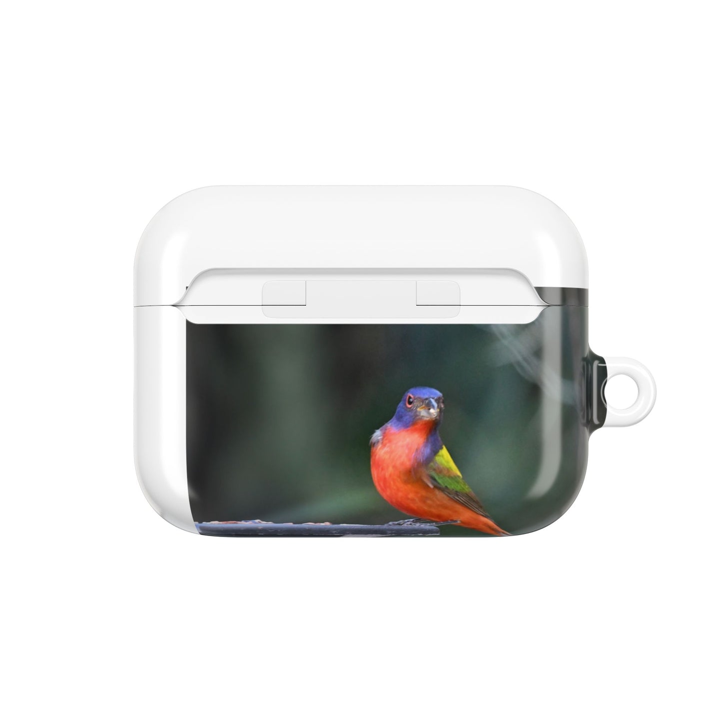 Nature-Inspired AirPod Cases, Colorful Bird Art, Eco-Friendly Charge Cover, Gift for Bird Lovers, Unique Tech Accessories