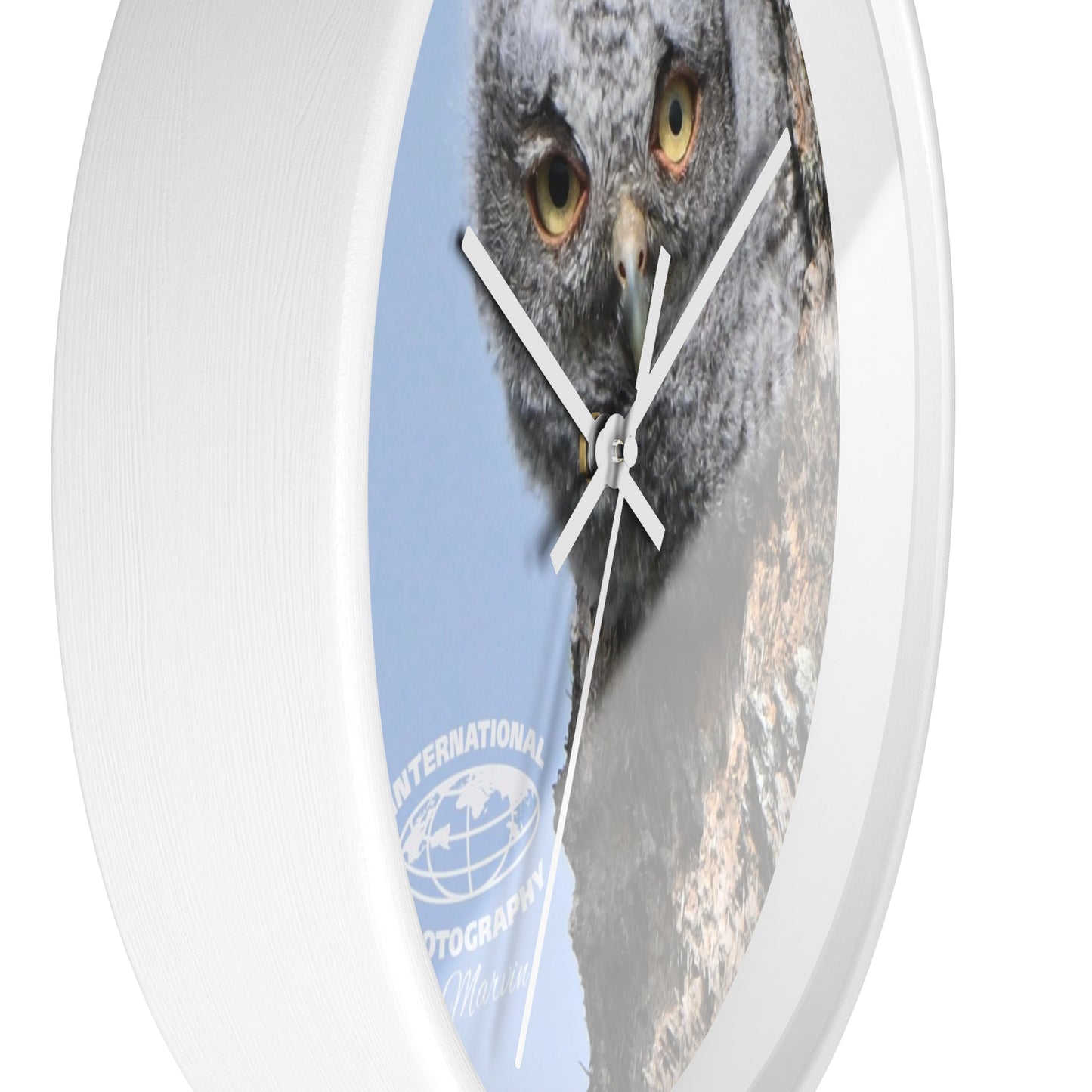 Whimsical Owl Wall Clock - Nature Lover Decor, Unique Home Gift, Bird Watcher Accessory, Kids Room Clock, Owl Enthusiast Present
