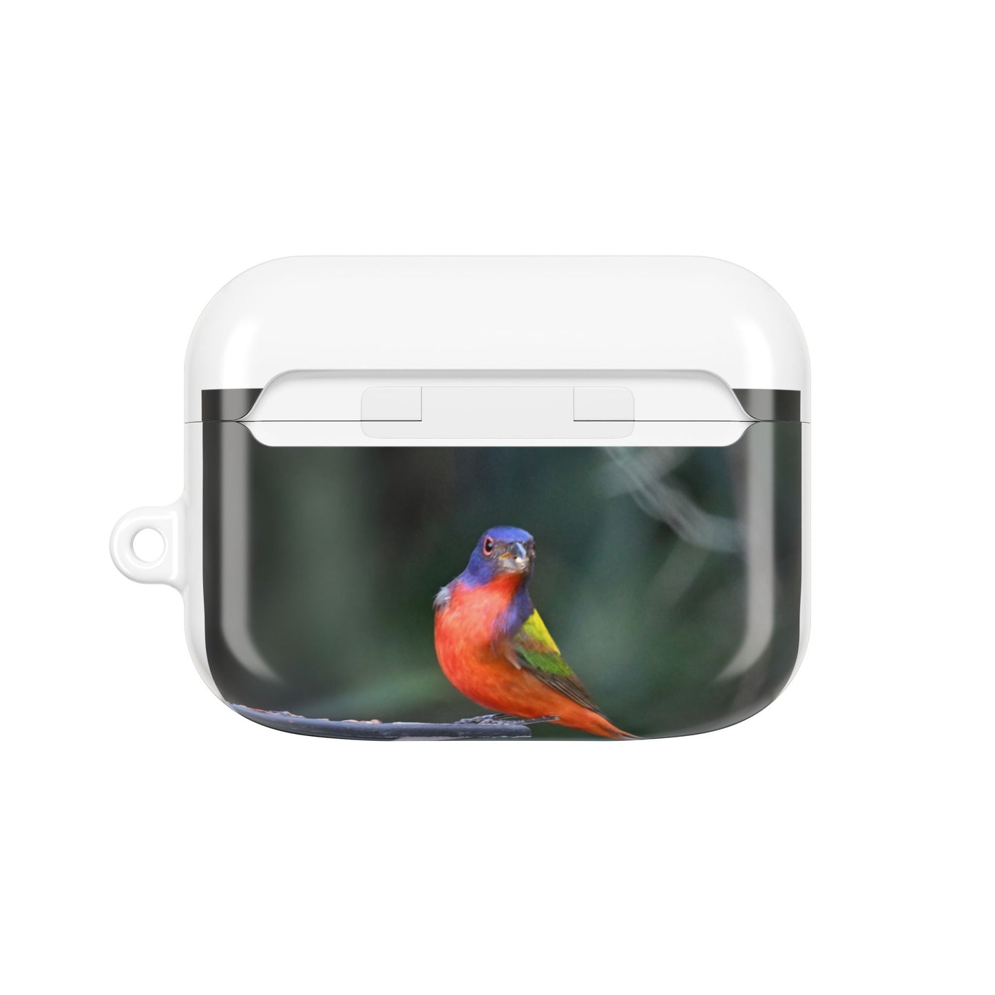 Nature-Inspired AirPod Cases, Colorful Bird Art, Eco-Friendly Charge Cover, Gift for Bird Lovers, Unique Tech Accessories