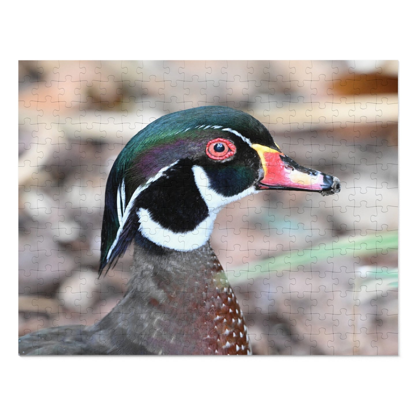 Wood Duck Puzzle, Relaxing Jigsaw Game, Unique Gift for Nature Lovers, Fun Family Activity, Bird Enthusiast Puzzle