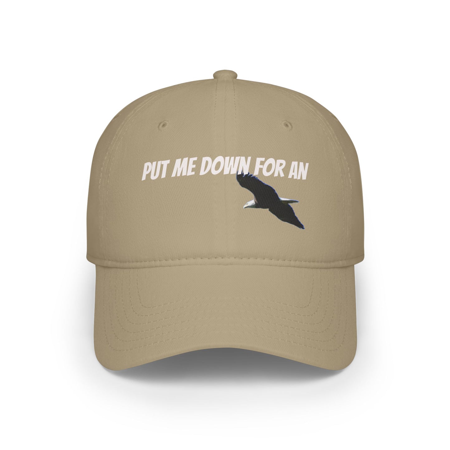 Low Profile Baseball Cap
