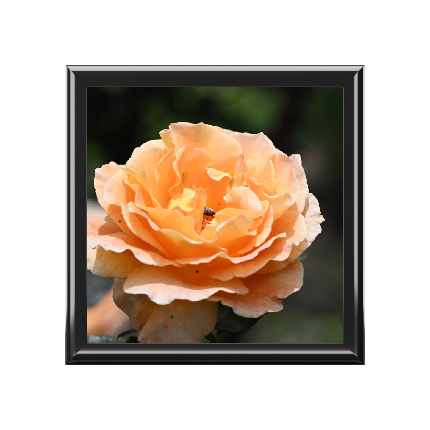 Elegant Floral Jewelry Box, Decorative Storage, Gifts for Her, Mother's Day, Wedding Keepsake, Home Decor