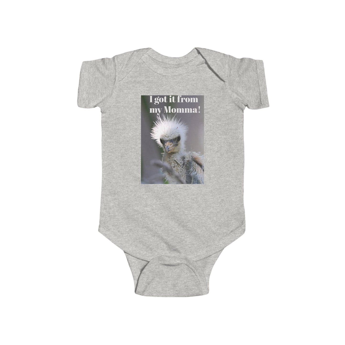 Funny Baby Bodysuit, I Got It From My Momma Gift, Infant Onesie, Cute Baby Shower Outfit, Newborn Clothes, Baby Announcement