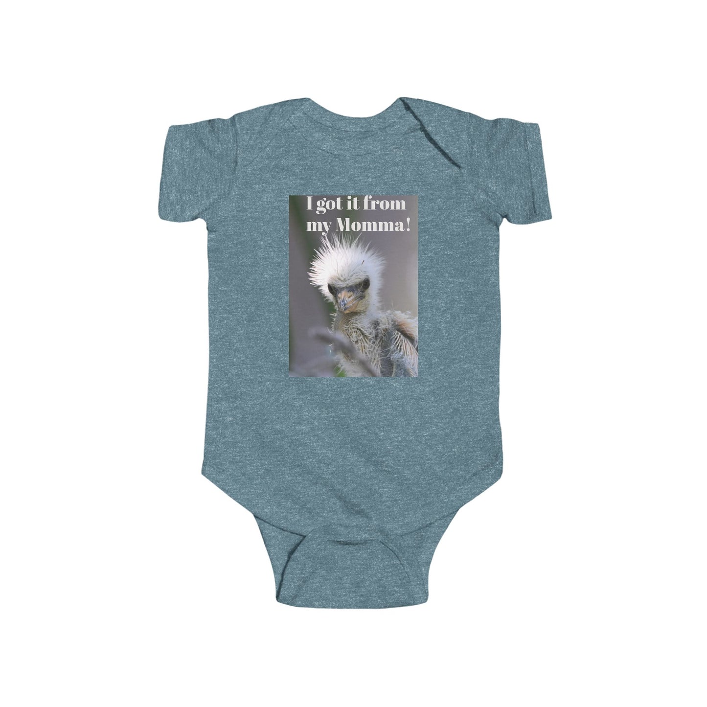 Funny Baby Bodysuit, I Got It From My Momma Gift, Infant Onesie, Cute Baby Shower Outfit, Newborn Clothes, Baby Announcement