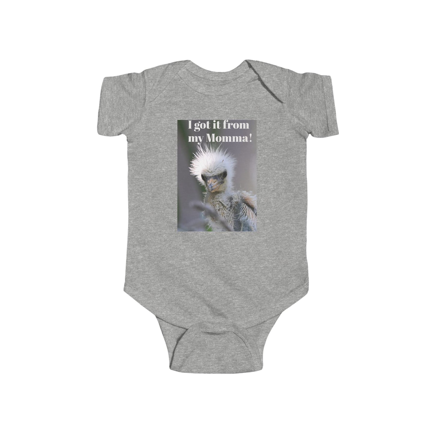 Funny Baby Bodysuit, I Got It From My Momma Gift, Infant Onesie, Cute Baby Shower Outfit, Newborn Clothes, Baby Announcement