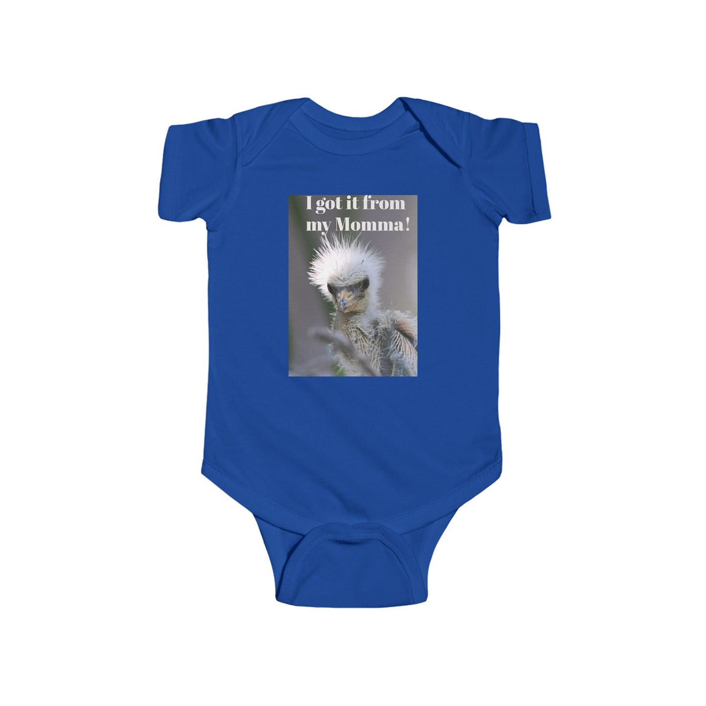 Funny Baby Bodysuit, I Got It From My Momma Gift, Infant Onesie, Cute Baby Shower Outfit, Newborn Clothes, Baby Announcement
