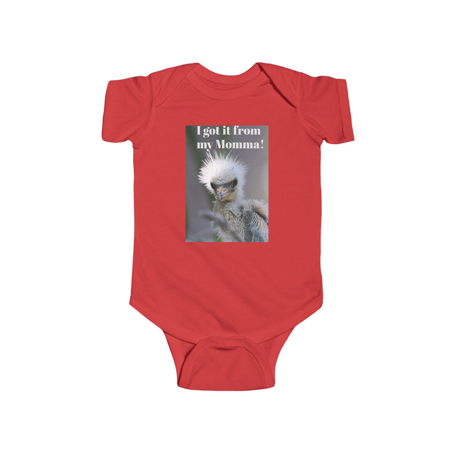 Funny Baby Bodysuit, I Got It From My Momma Gift, Infant Onesie, Cute Baby Shower Outfit, Newborn Clothes, Baby Announcement