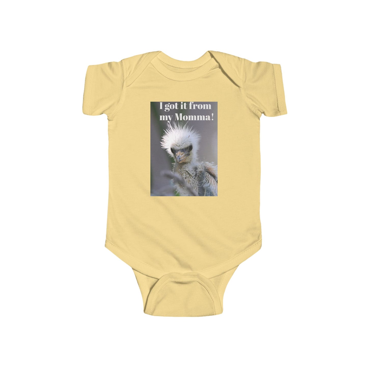 Funny Baby Bodysuit, I Got It From My Momma Gift, Infant Onesie, Cute Baby Shower Outfit, Newborn Clothes, Baby Announcement