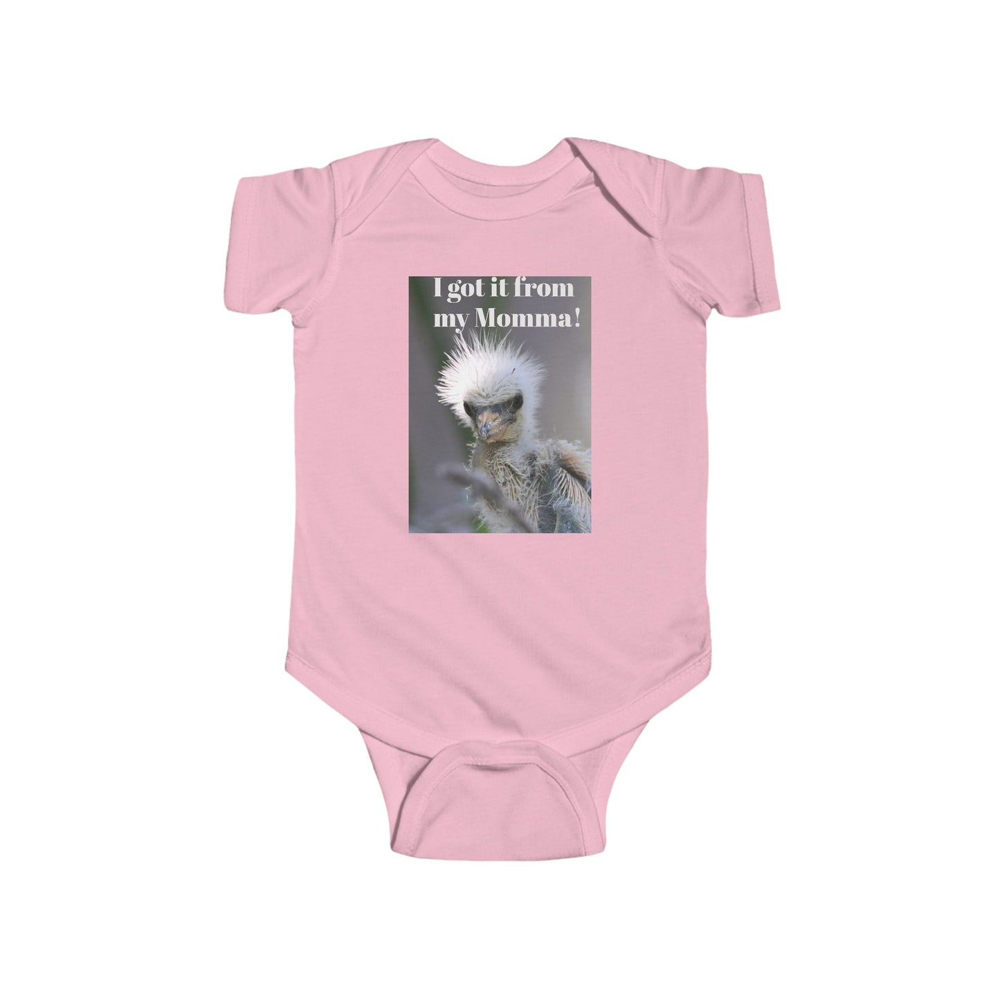 Funny Baby Bodysuit, I Got It From My Momma Gift, Infant Onesie, Cute Baby Shower Outfit, Newborn Clothes, Baby Announcement