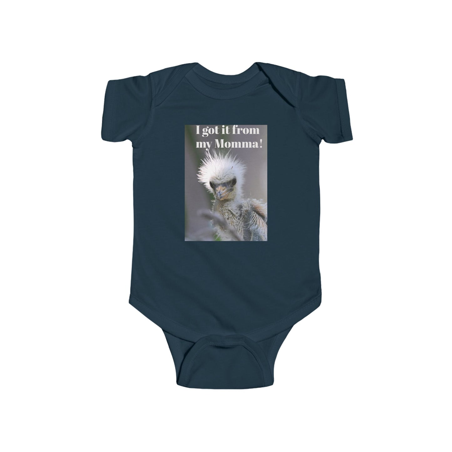Funny Baby Bodysuit, I Got It From My Momma Gift, Infant Onesie, Cute Baby Shower Outfit, Newborn Clothes, Baby Announcement