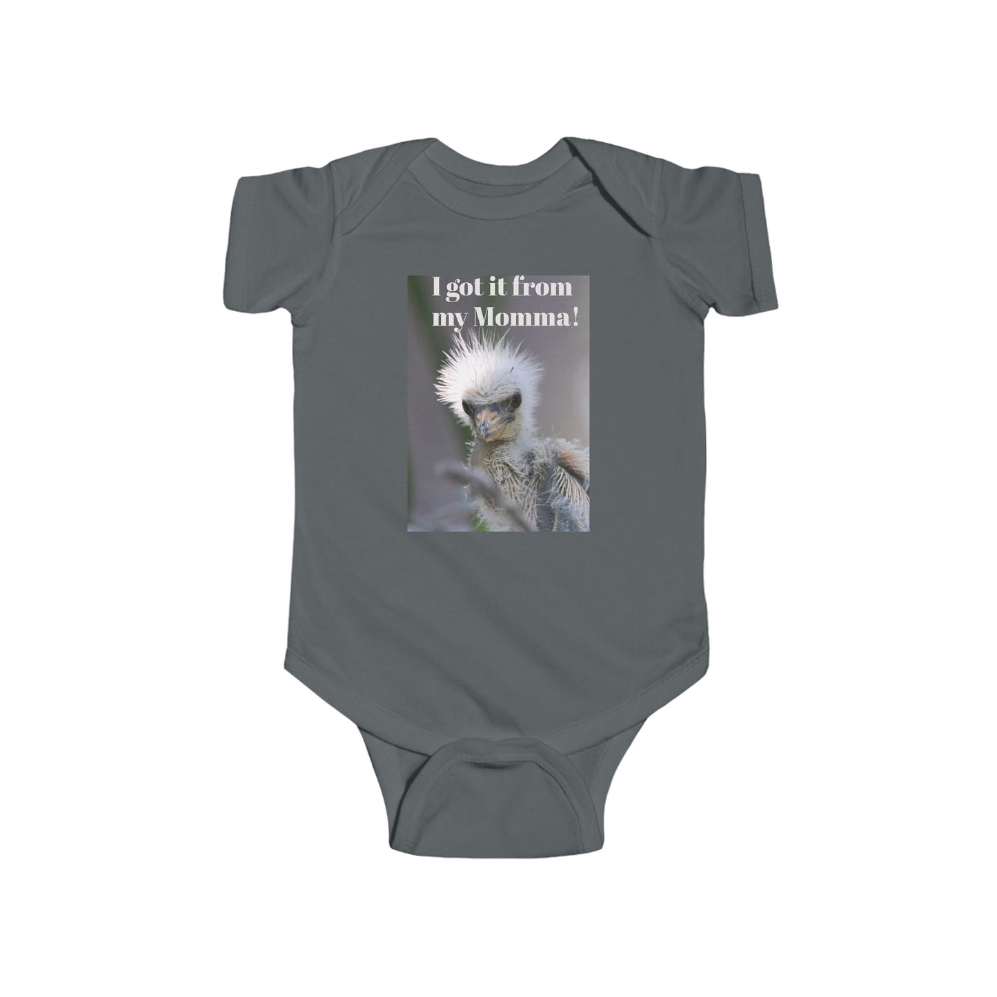 Funny Baby Bodysuit, I Got It From My Momma Gift, Infant Onesie, Cute Baby Shower Outfit, Newborn Clothes, Baby Announcement