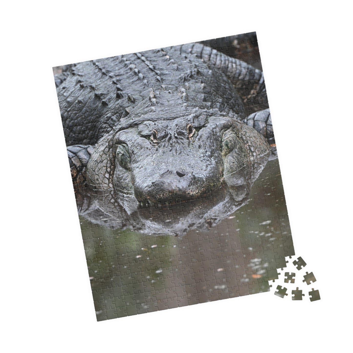Alligator Puzzle - 110, 252, 520, 1014-Piece Jigsaw, Animal Lovers Gift, Family Game Night, Nature Decor, Unique Home Activity