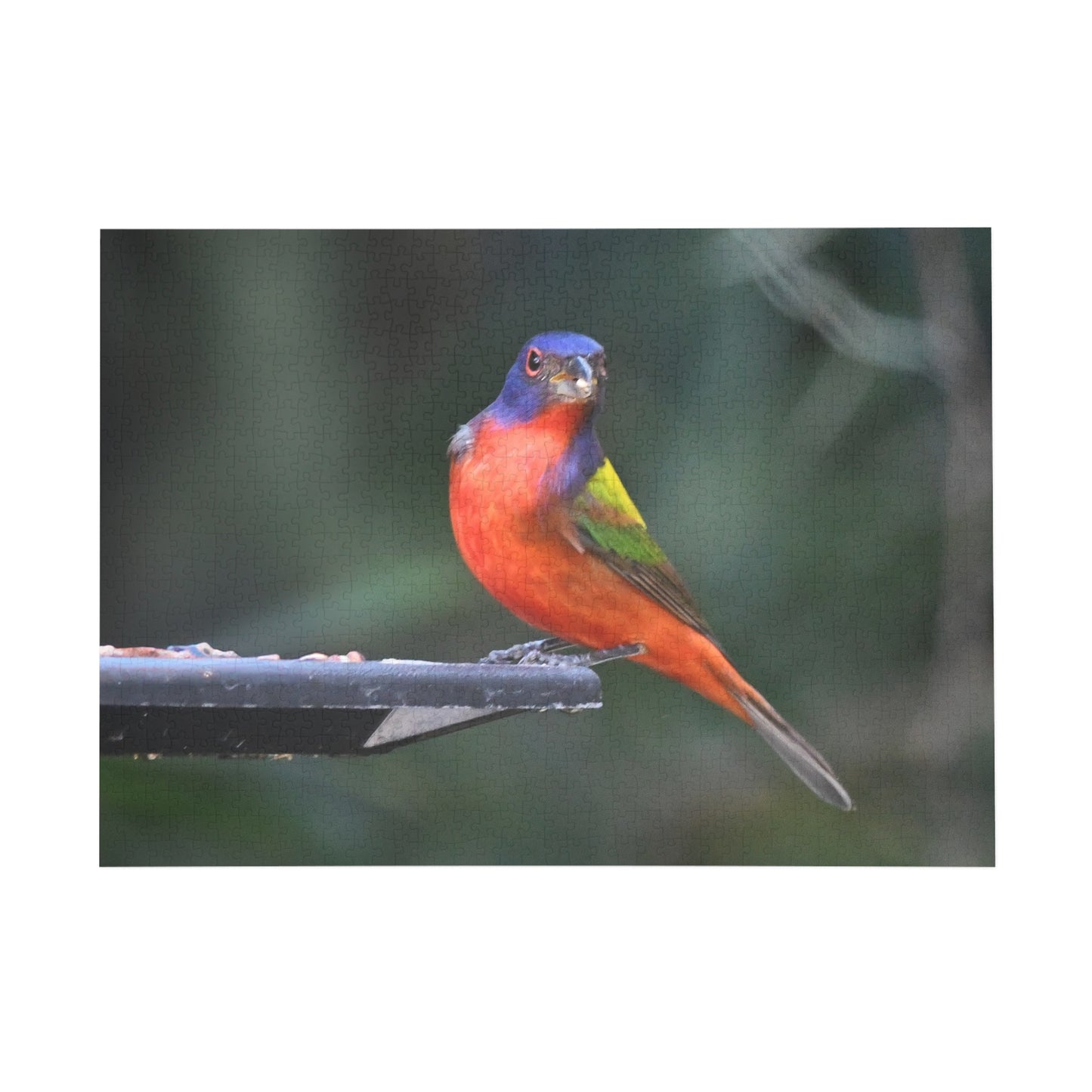 Vibrant Bird Puzzle - 96, 252, 500, or 1000 Pieces | Nature Jigsaw for Bird Lovers, Family Game Night, Educational Fun, Gift Idea