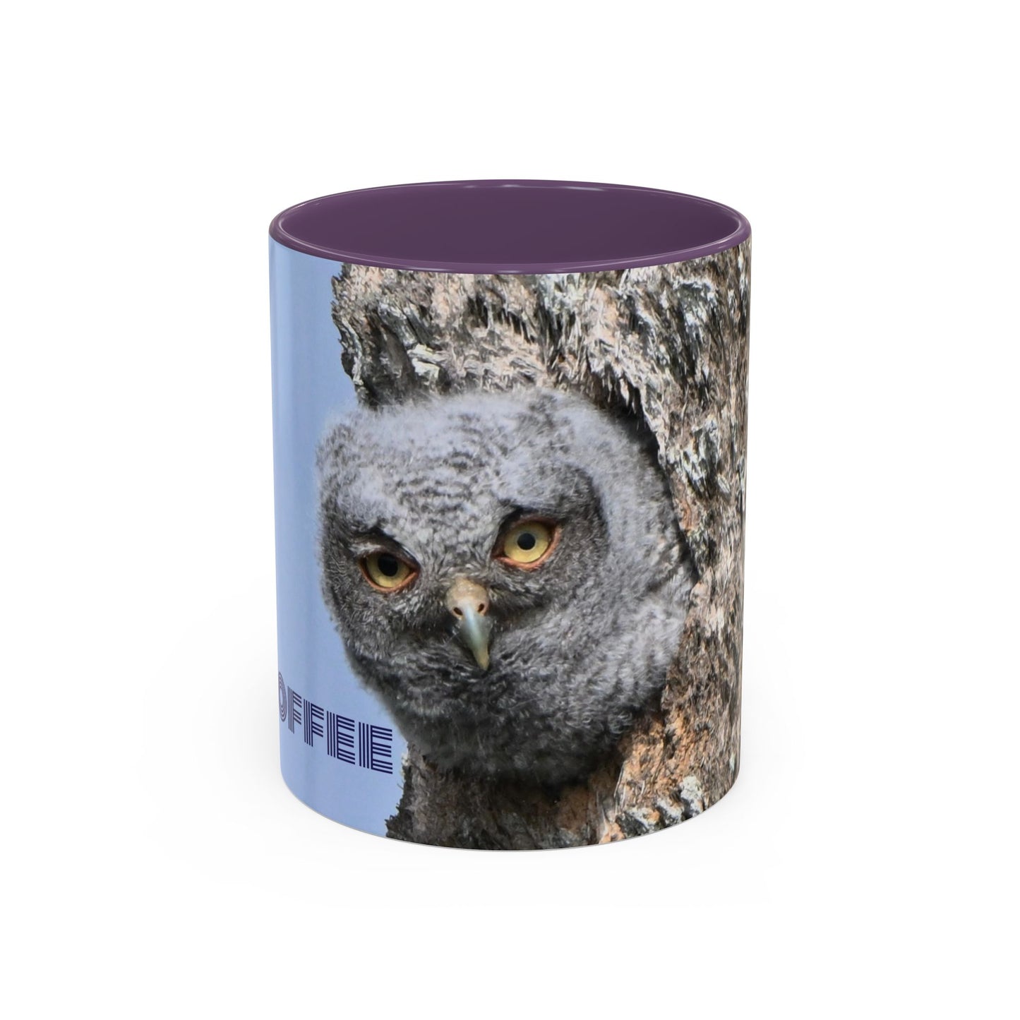 Accent Coffee Mug with Owl Design, Perfect Gift for Coffee Lovers, Home Office Decor, Nature Enthusiast Gift, Animal Lover Mug