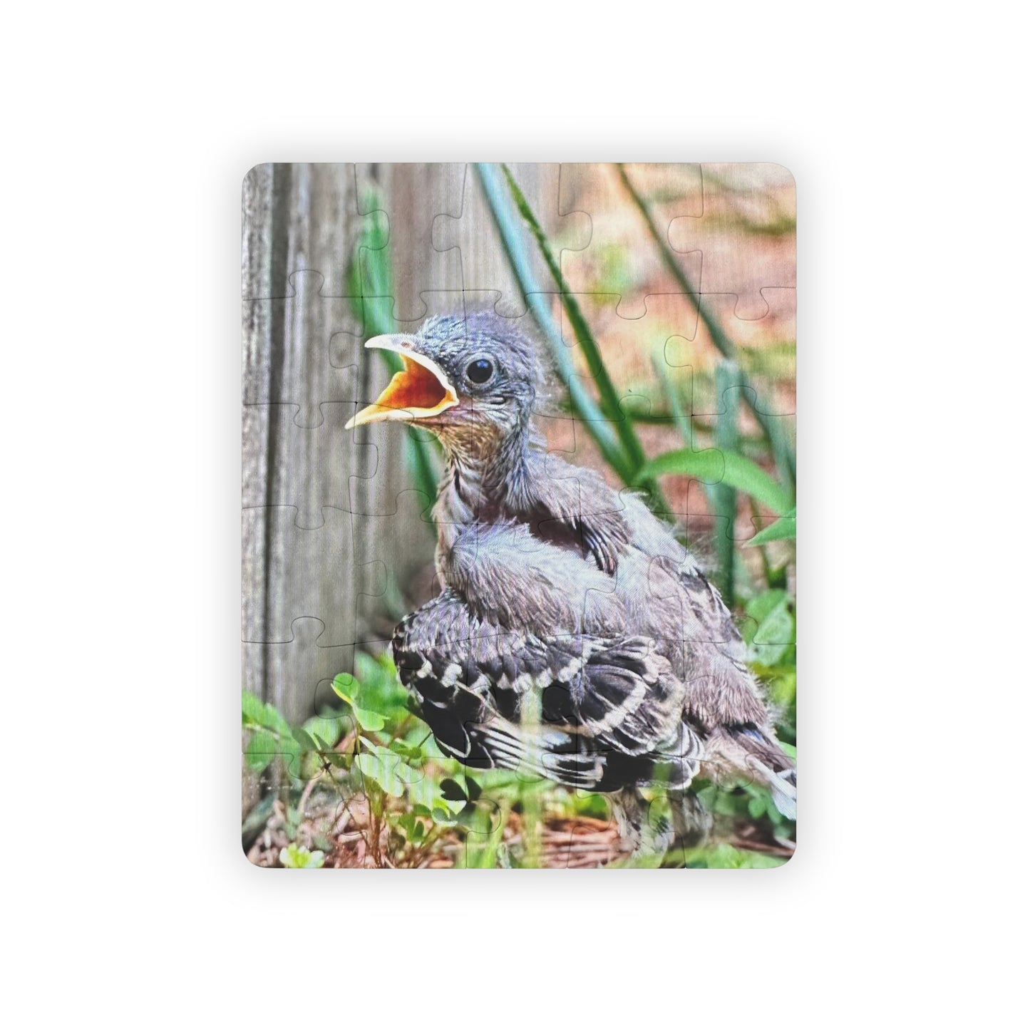 Kids' Nature Puzzle - 30-Piece Interactive Fun, Educational Activity, Bird Puzzle Gift, Toddler Toys, Wildlife Learning