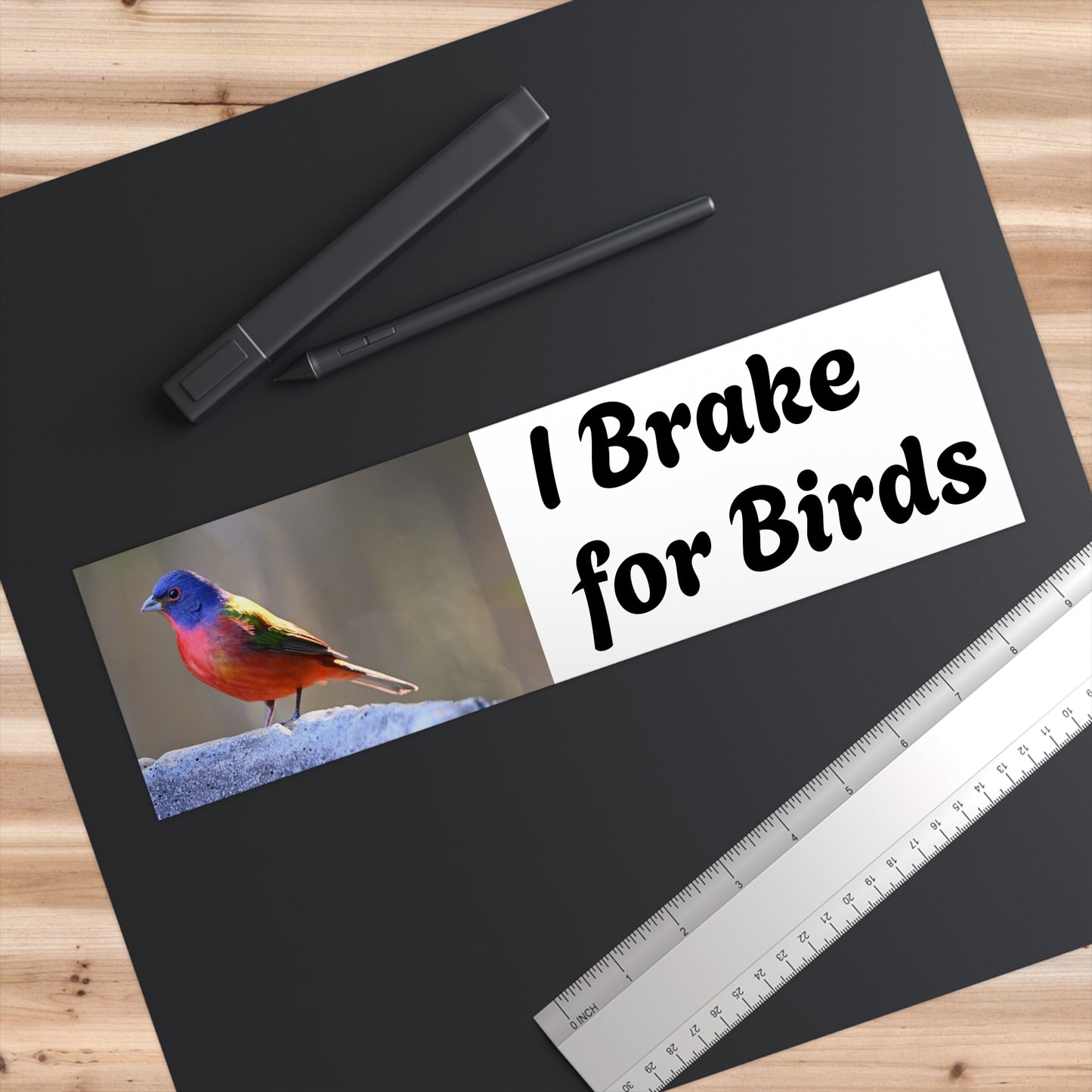 Bird Lover Bumper Stickers, Car Decal, Nature Lover Gift, Wildlife Sticker, Eco-Friendly Car Art, I Brake for Birds