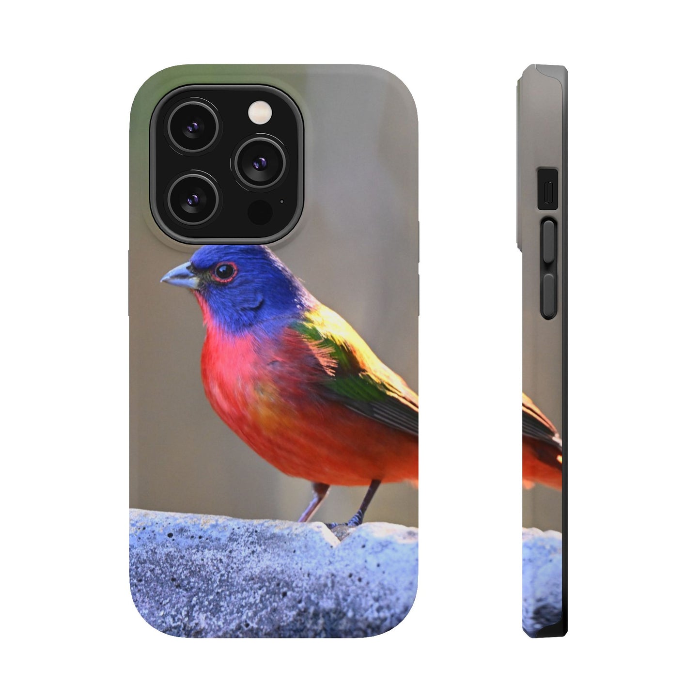 Colorful Bird Phone Case, Magnetic Tough Cases, Nature Lover Gift, Wildlife Phone Cover, Eco-Friendly Tech Accessories
