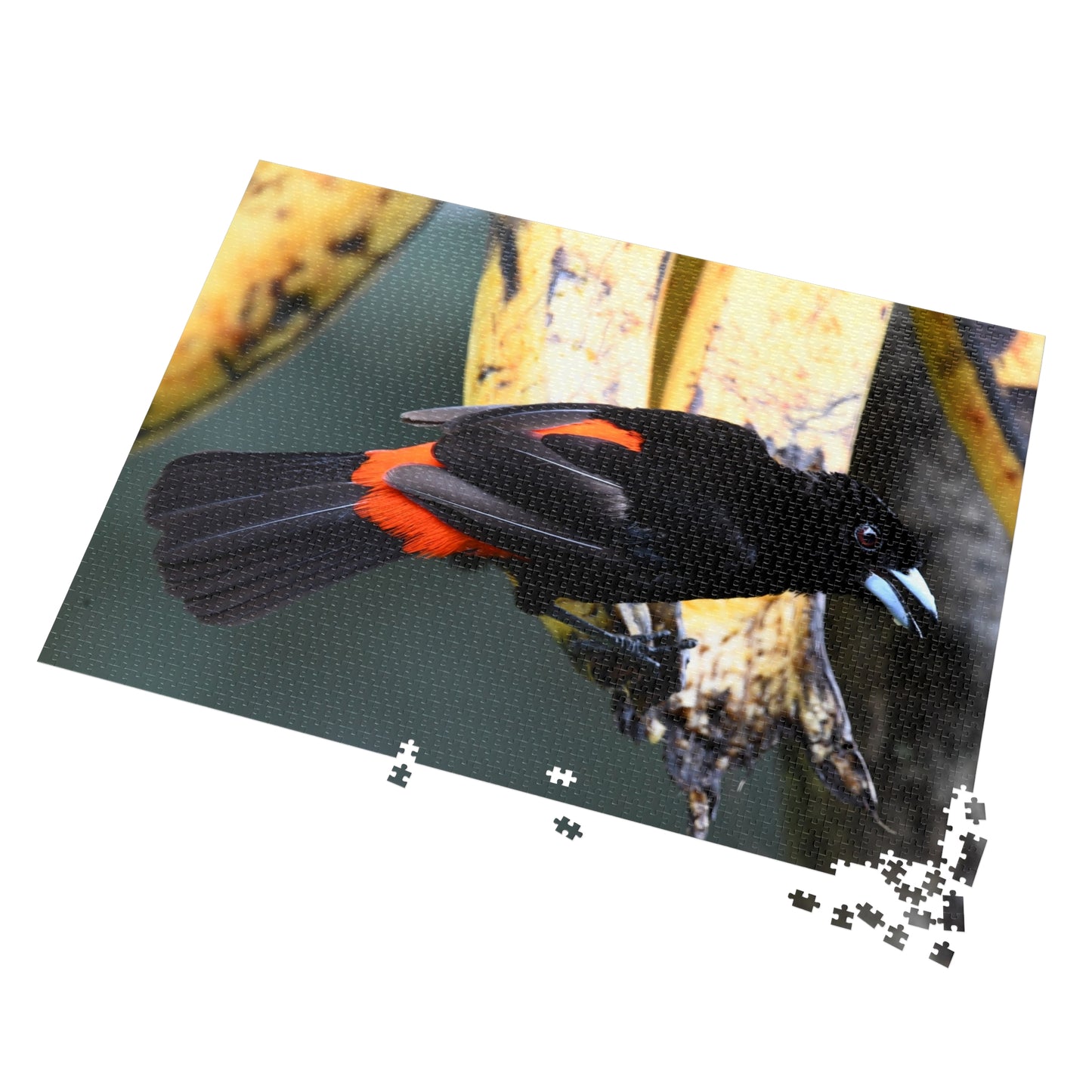 Bird-Themed Jigsaw Puzzle with Tin - Perfect Gift for Nature Lovers, Family Game Night, Eco-Friendly Home Decor, Educational Activity.