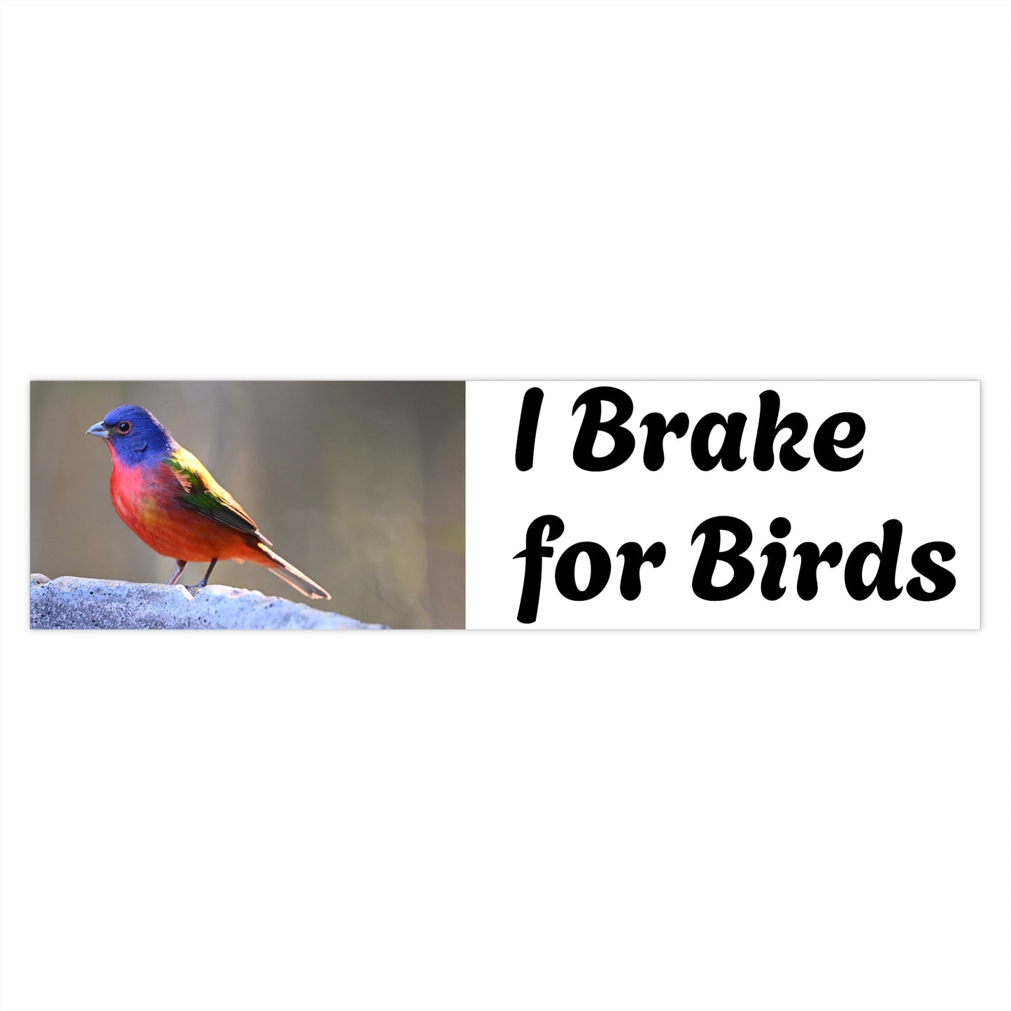 Bird Lover Bumper Stickers, Car Decal, Nature Lover Gift, Wildlife Sticker, Eco-Friendly Car Art, I Brake for Birds