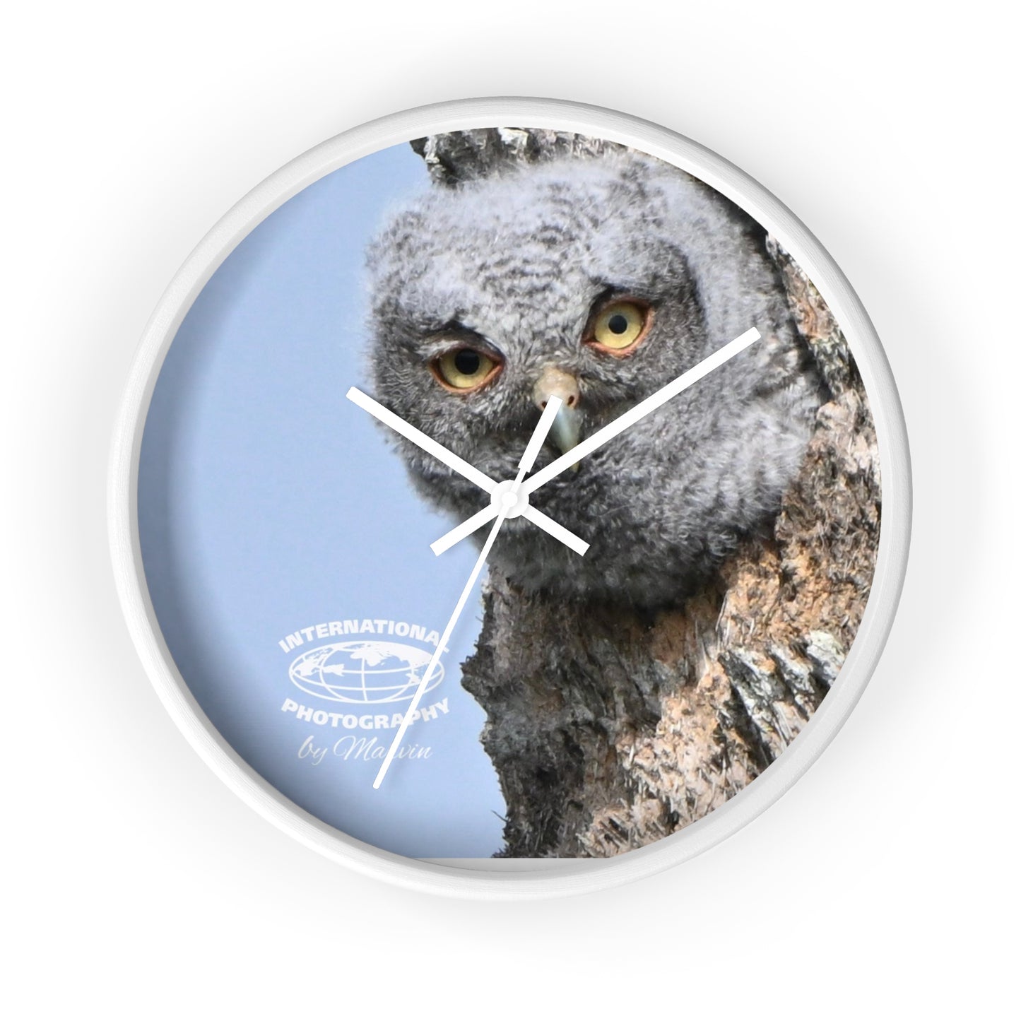 Whimsical Owl Wall Clock - Nature Lover Decor, Unique Home Gift, Bird Watcher Accessory, Kids Room Clock, Owl Enthusiast Present