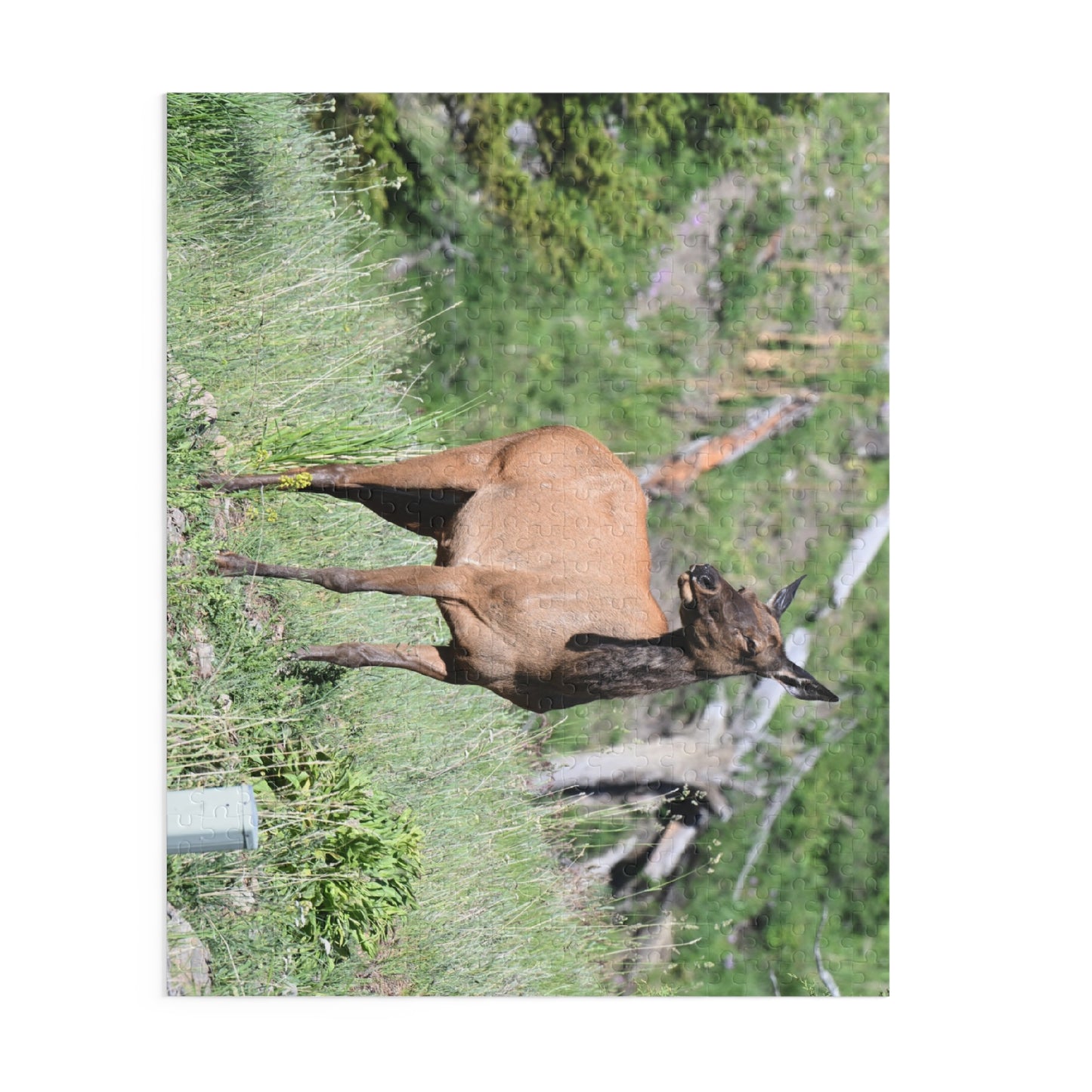 Elk Puzzle Game, Nature-Based Fun, Wildlife Lover Gift, Family Game Night, Educational Activity, Relaxing Hobby