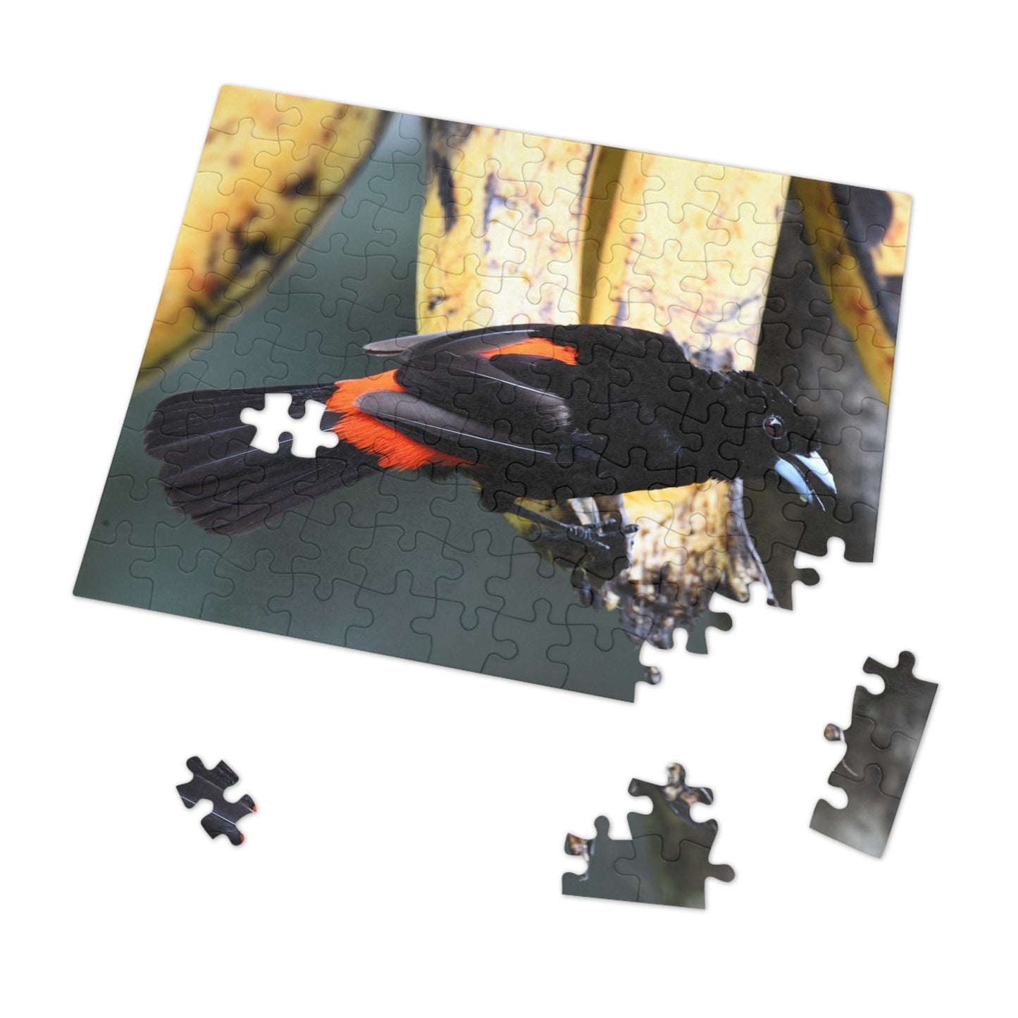 Bird-Themed Jigsaw Puzzle with Tin - Perfect Gift for Nature Lovers, Family Game Night, Eco-Friendly Home Decor, Educational Activity.