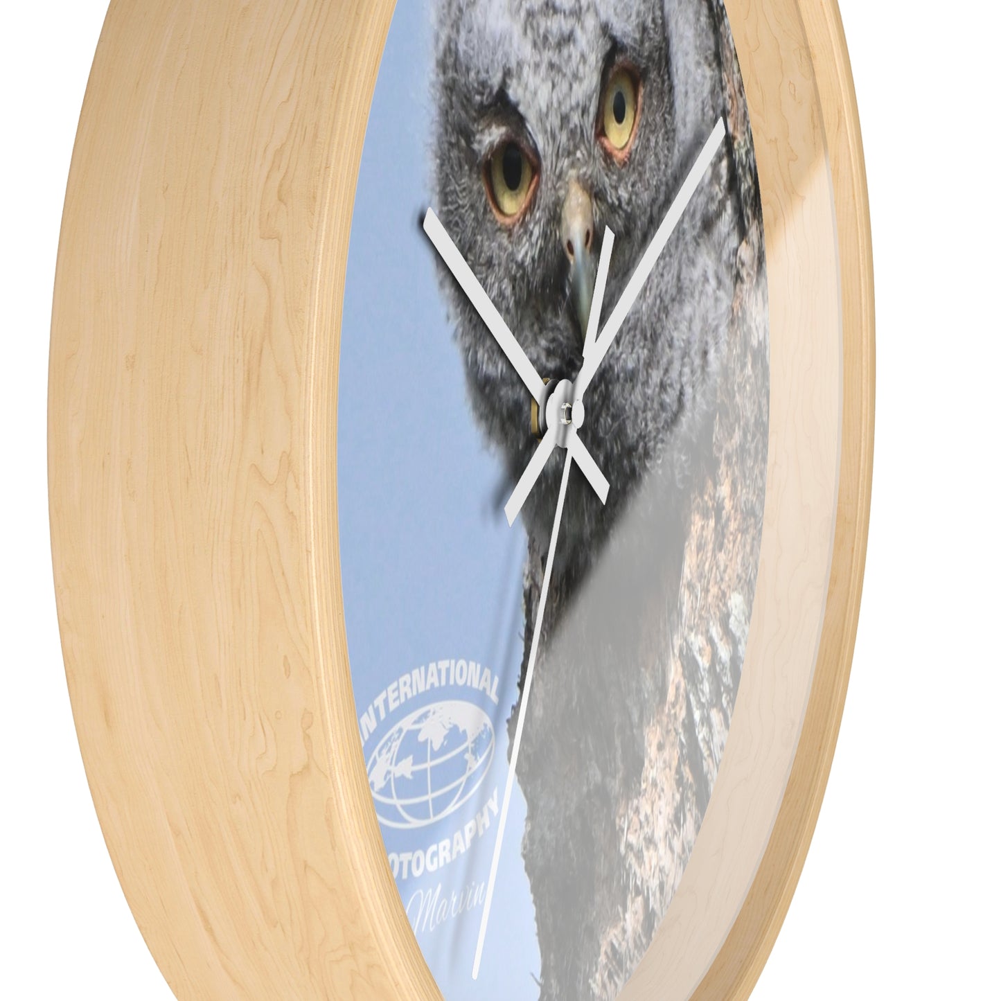 Whimsical Owl Wall Clock - Nature Lover Decor, Unique Home Gift, Bird Watcher Accessory, Kids Room Clock, Owl Enthusiast Present